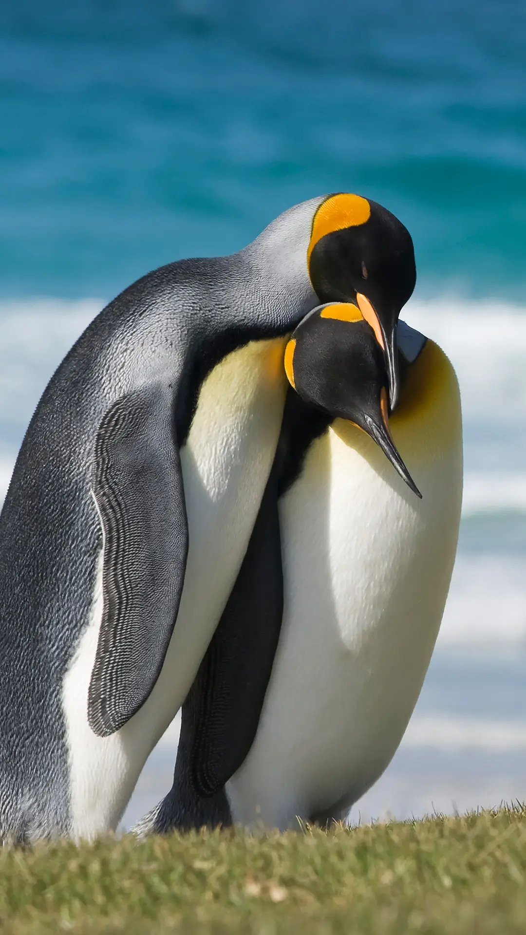 拥抱 - Screenshot 1