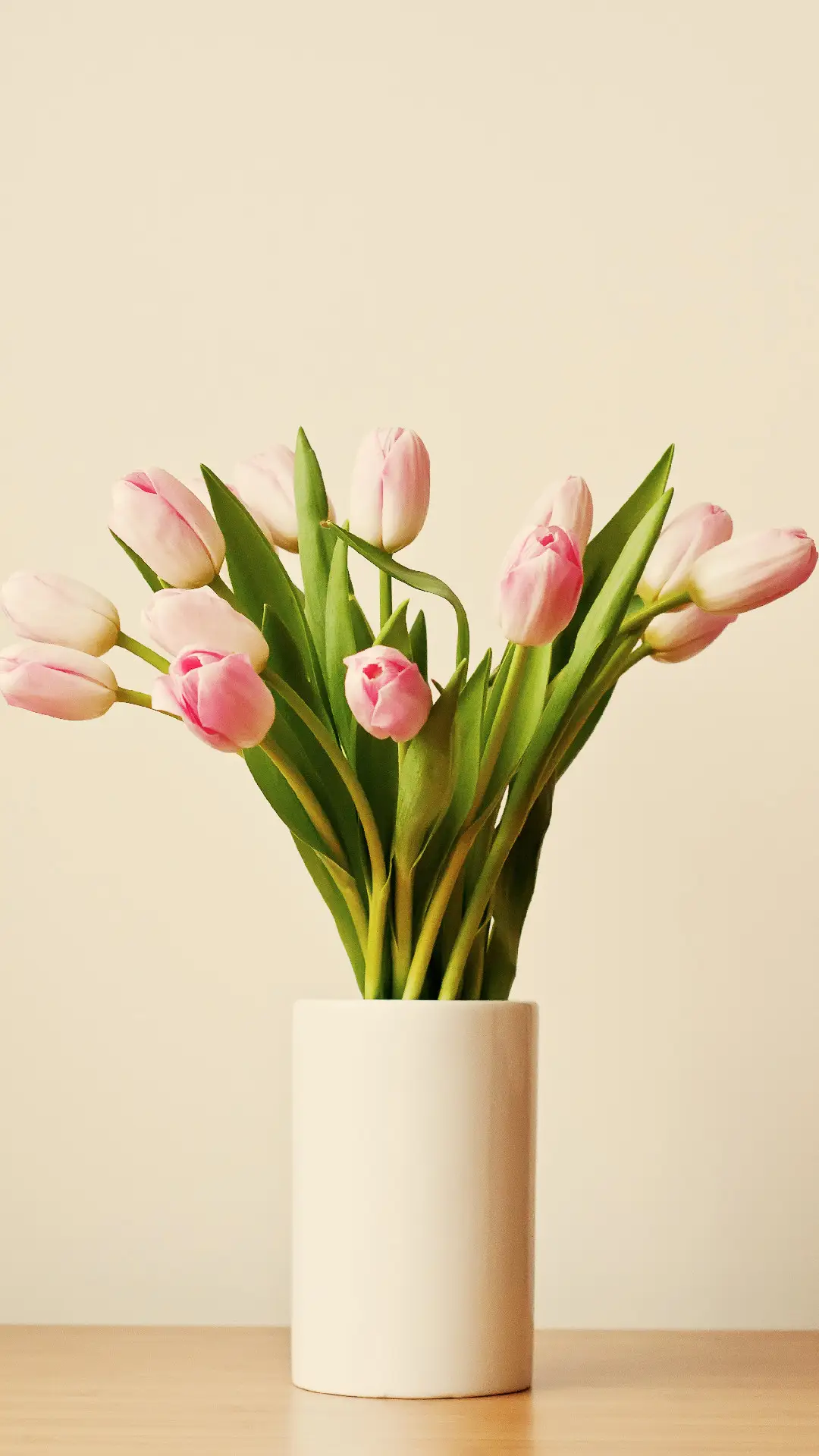 给我一束郁金香