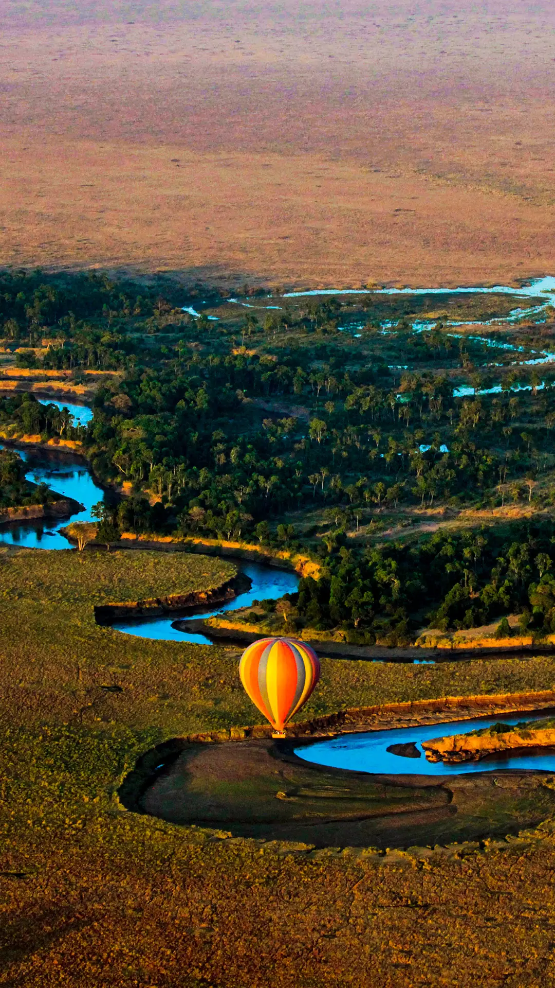 起飞在马拉河畔