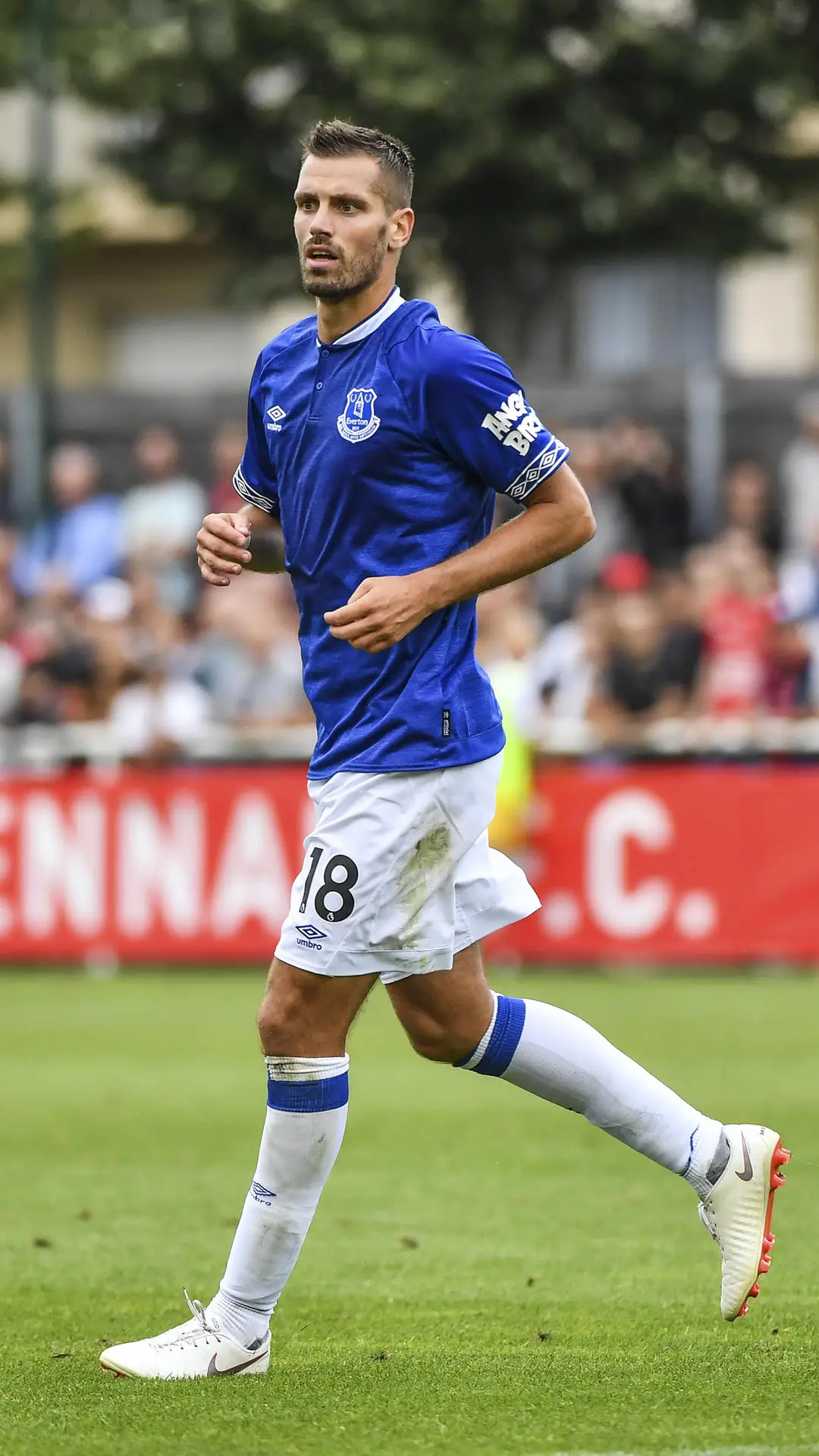 太妃糖兽腰施奈德林