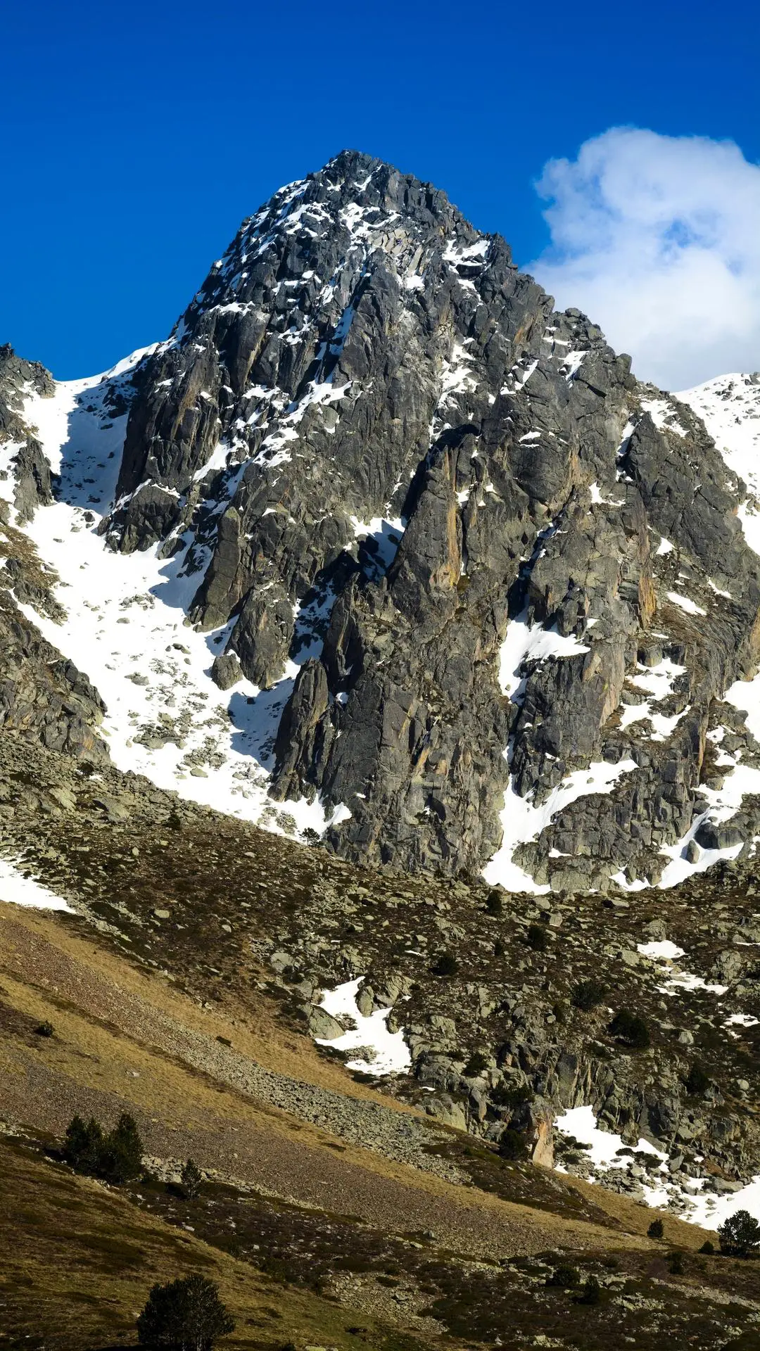 天已微凉 - Screenshot 1