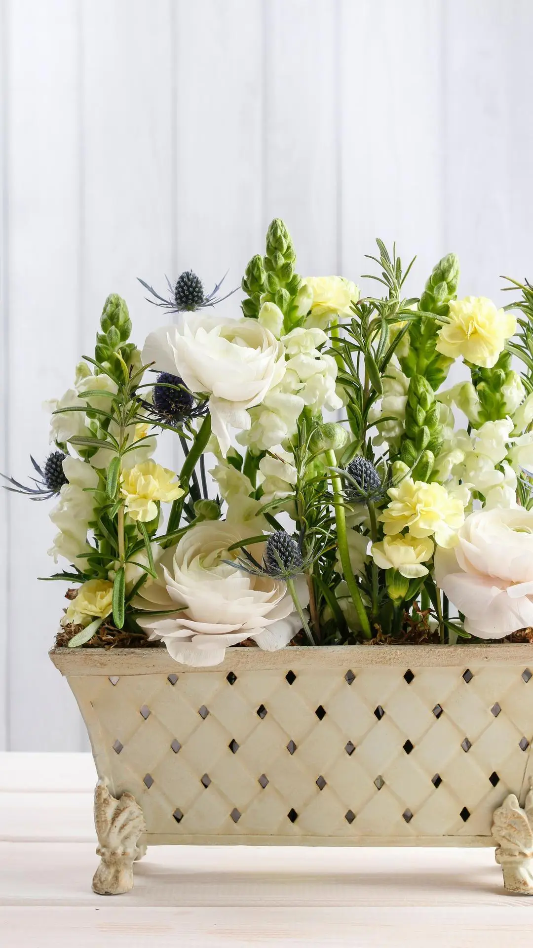 直面内心的恐惧 - Screenshot 1