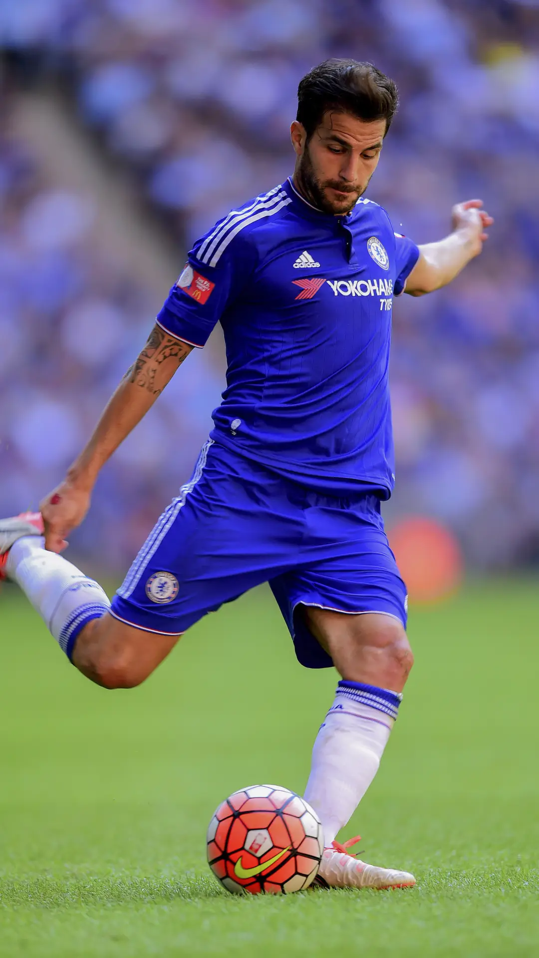 切尔西之星法布雷加斯