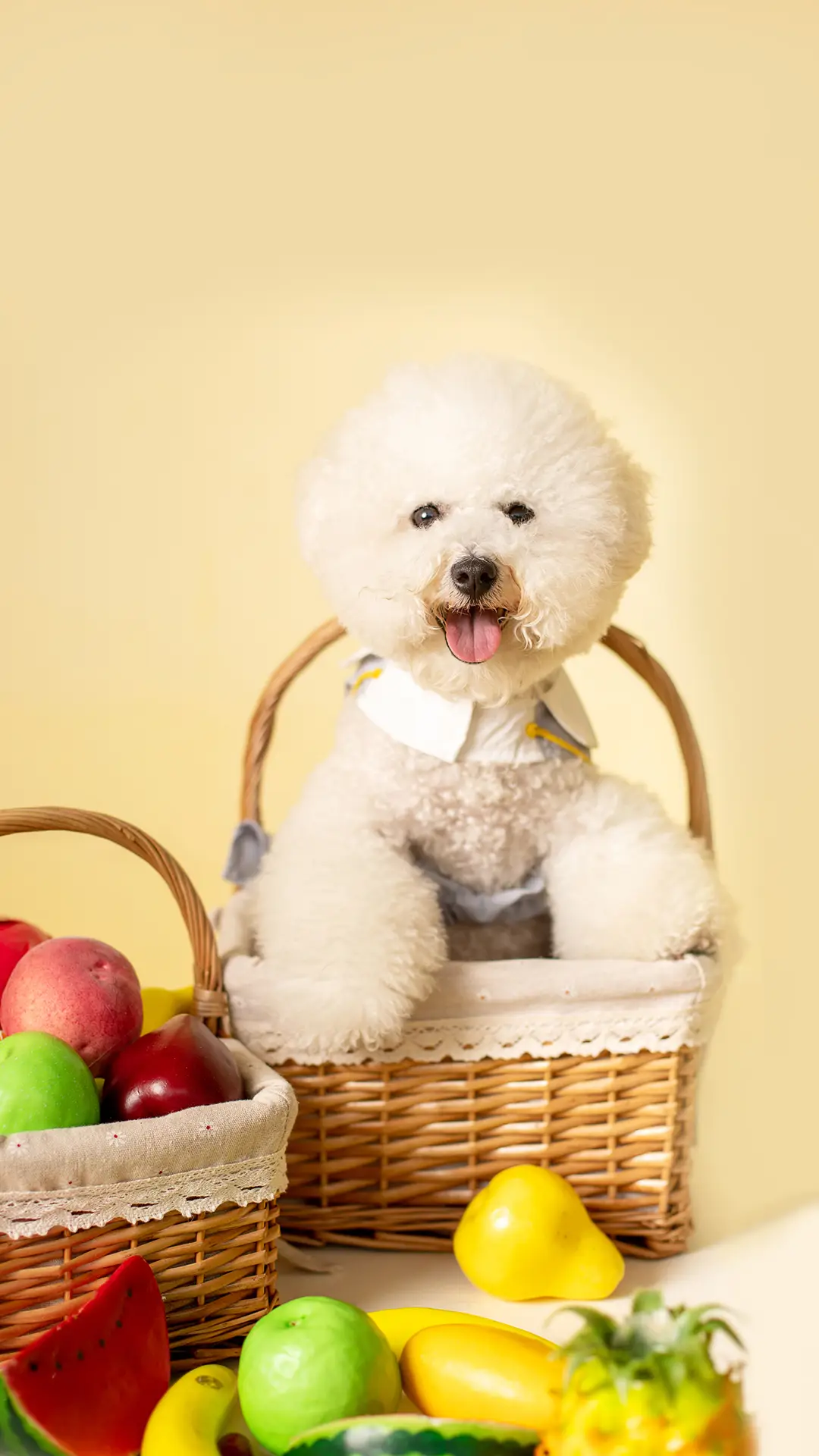 你的狗狗缺乏安全感吗