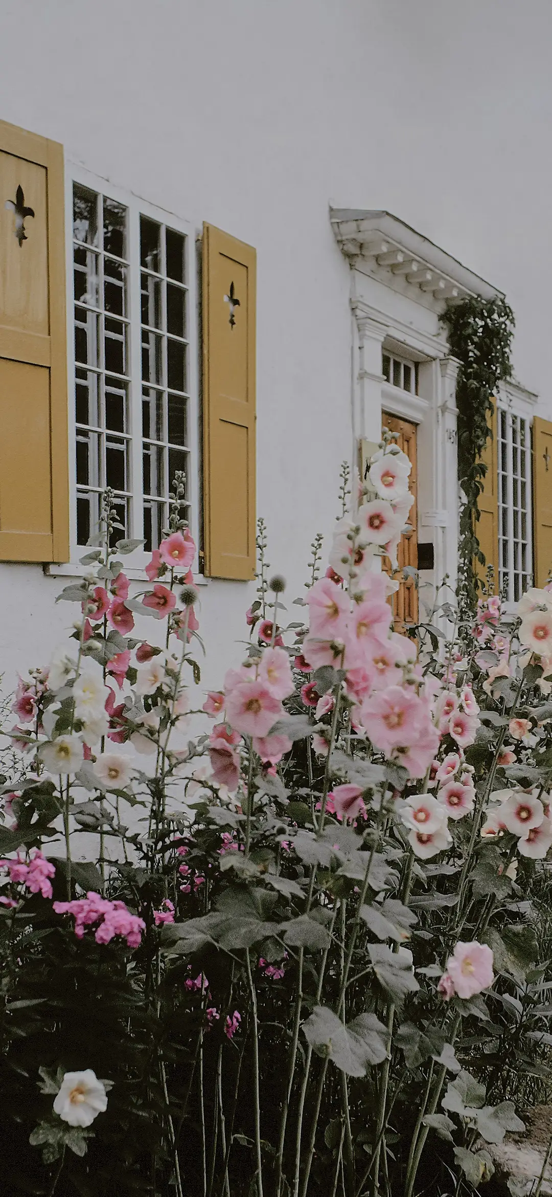 梦想的栖居-视觉中国