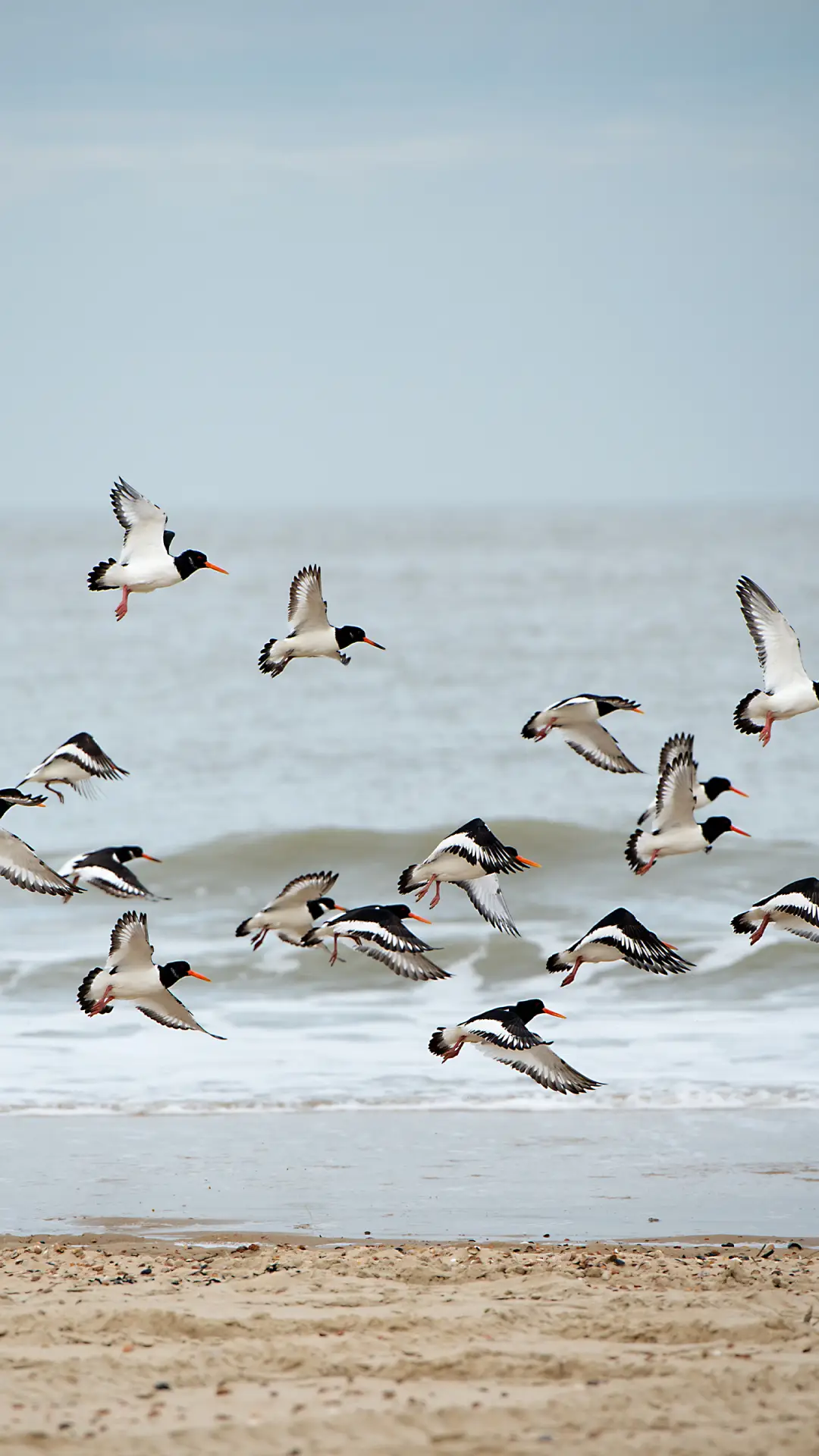 自然风光-拍信图库