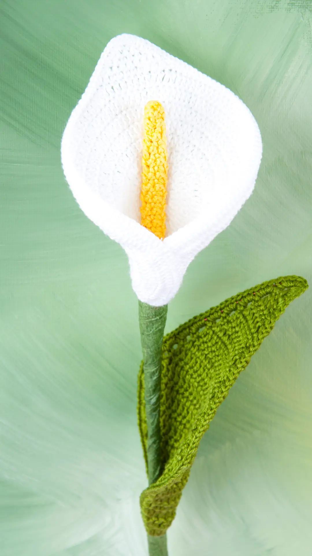 美丽的花朵-拍信图库