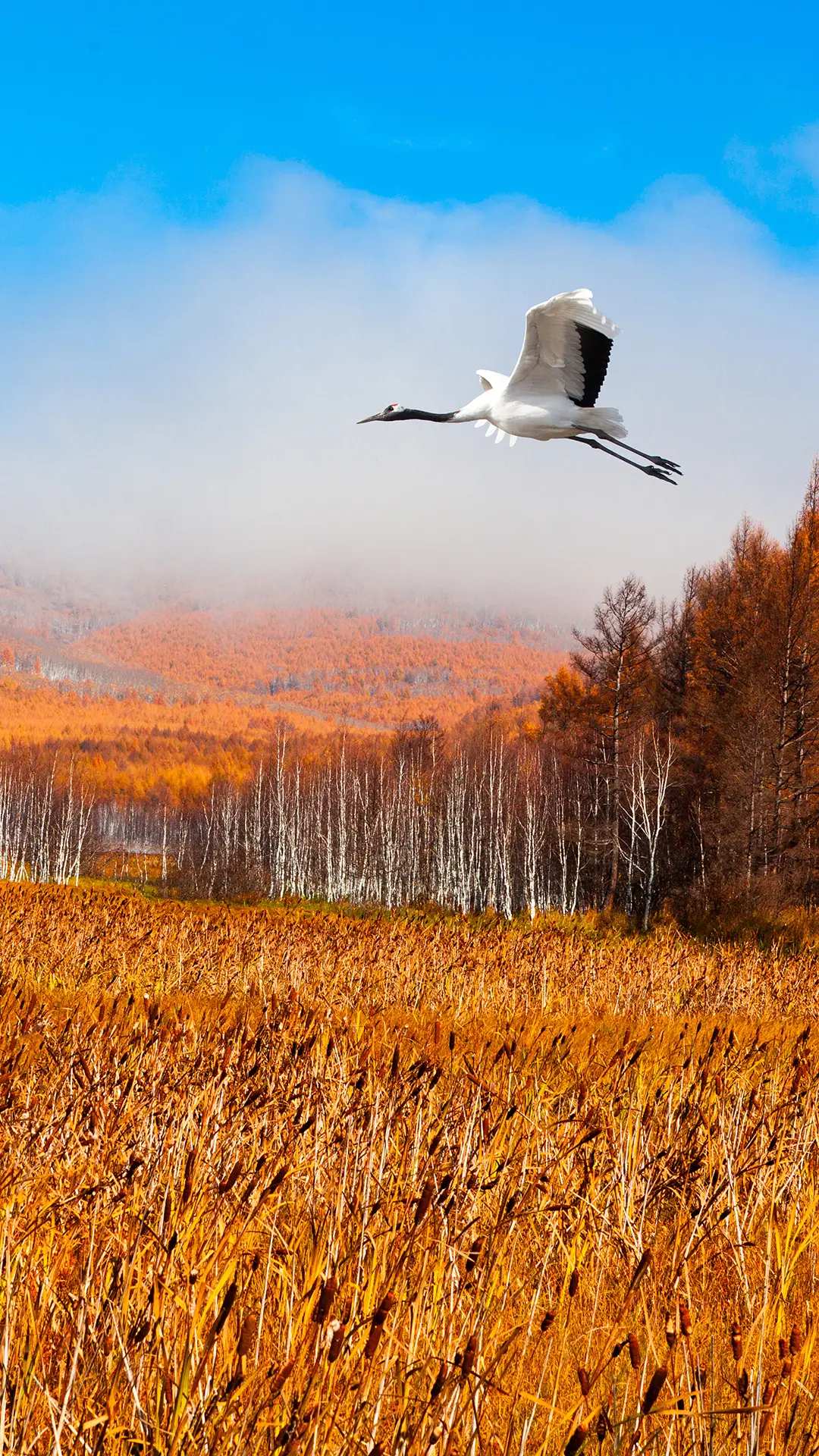 乌苏浪子湖-视觉中国 (3)