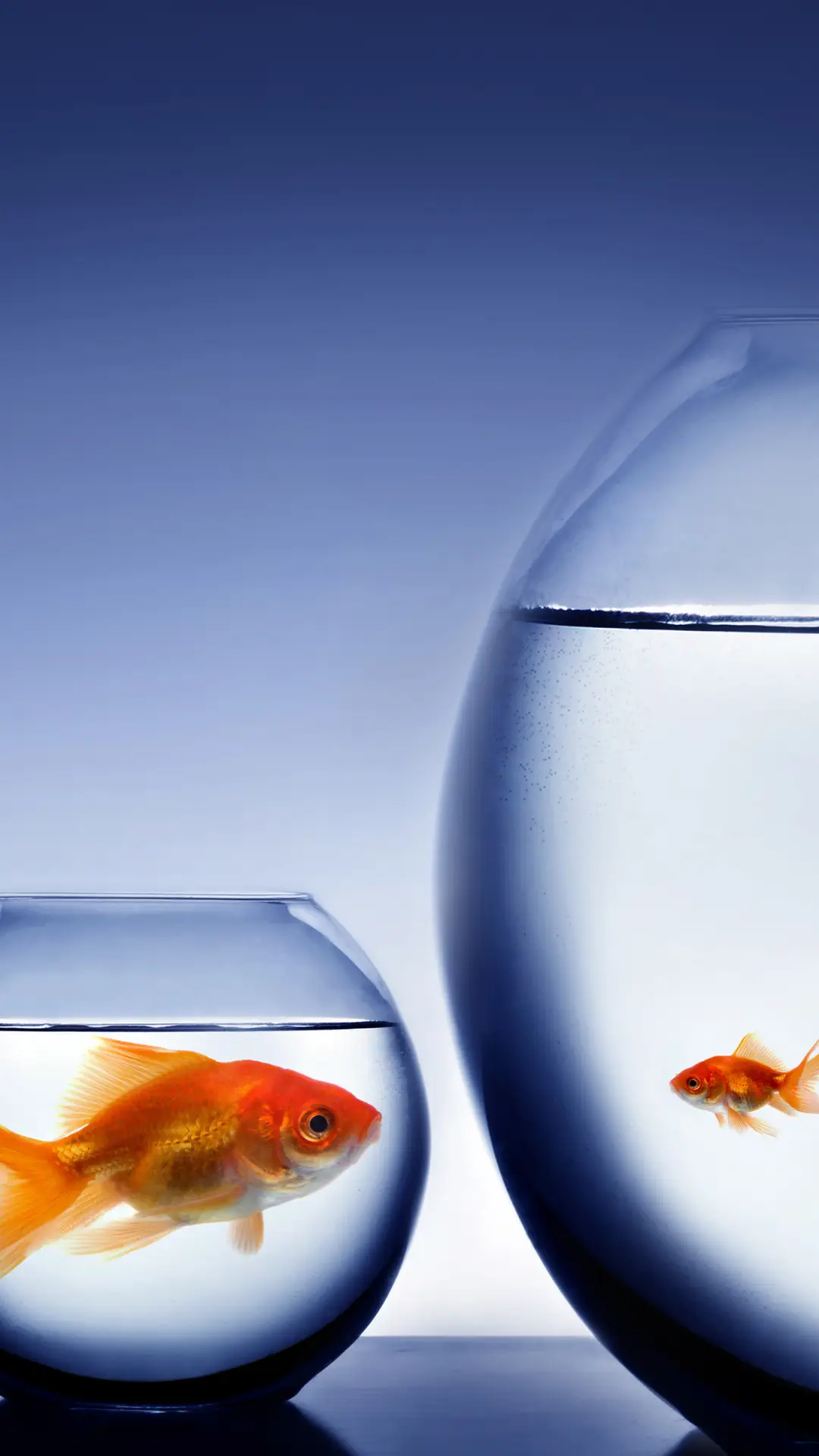 治愈插画-拍信图库