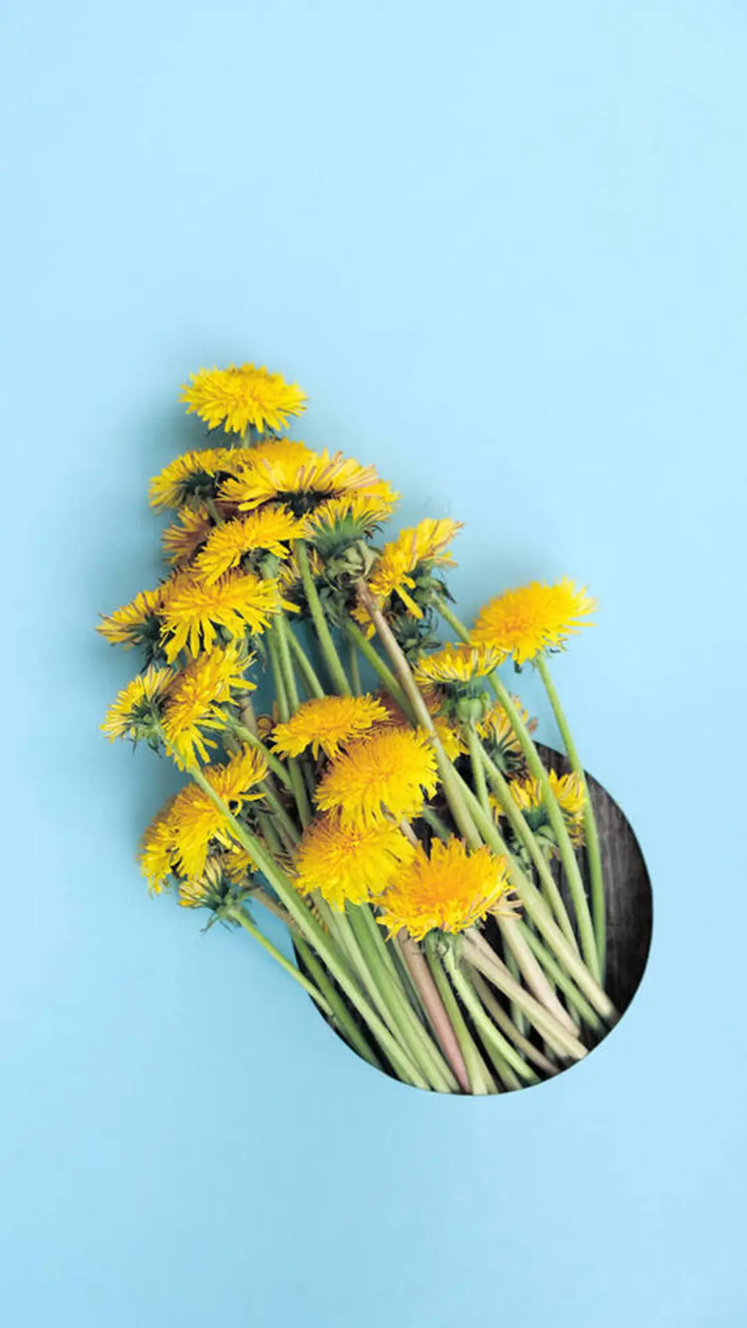 花花世界-拍信图库