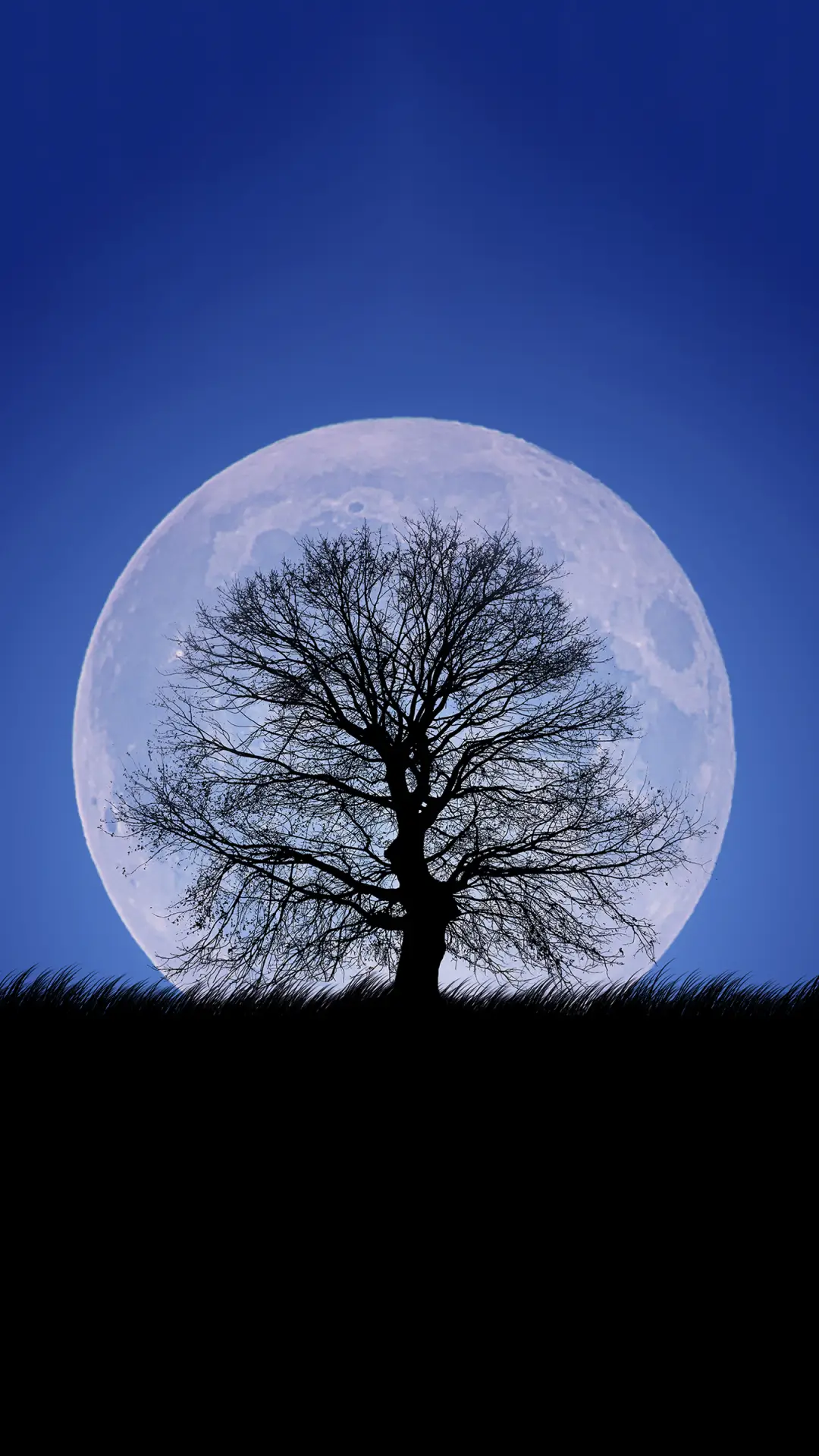 超现实风景-锐景创意