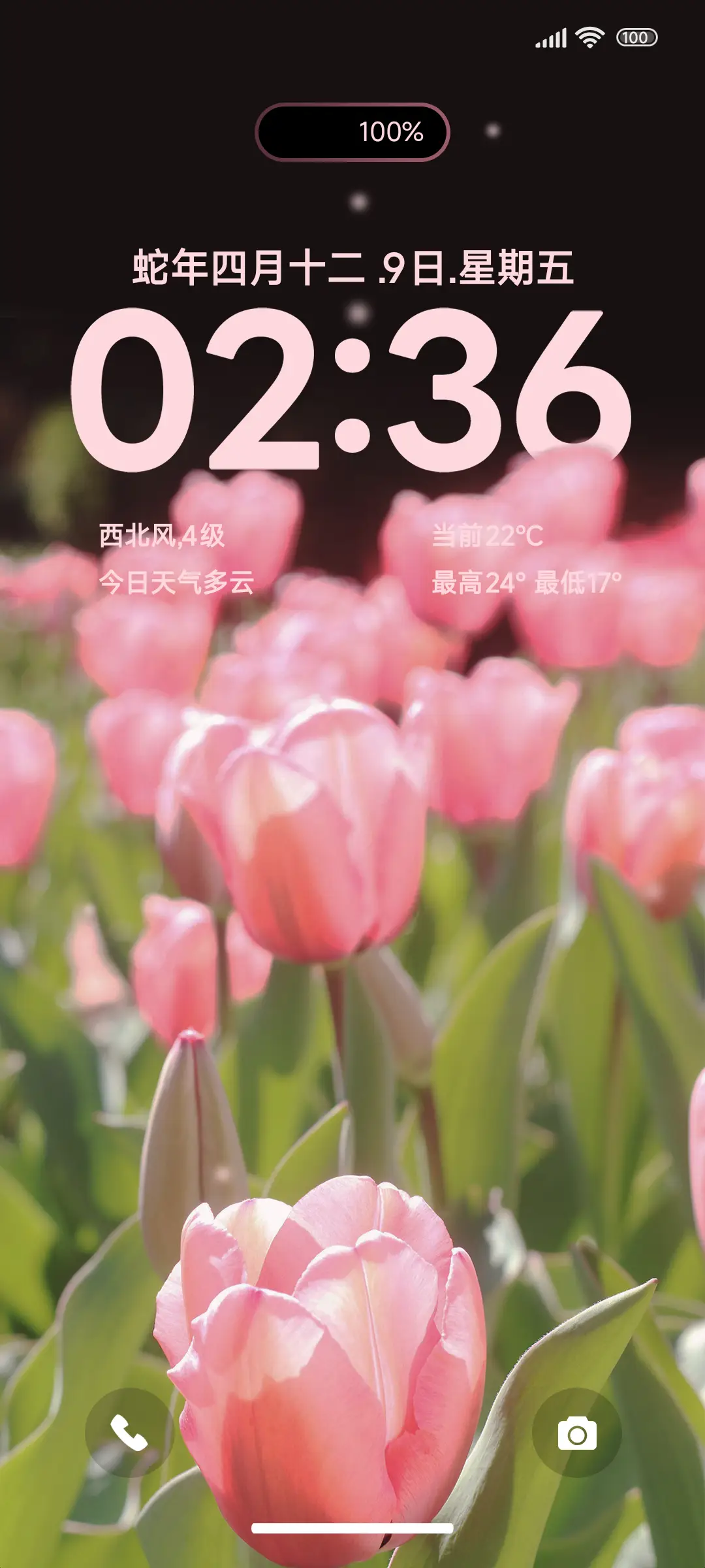 ins清新粉 - Screenshot 1