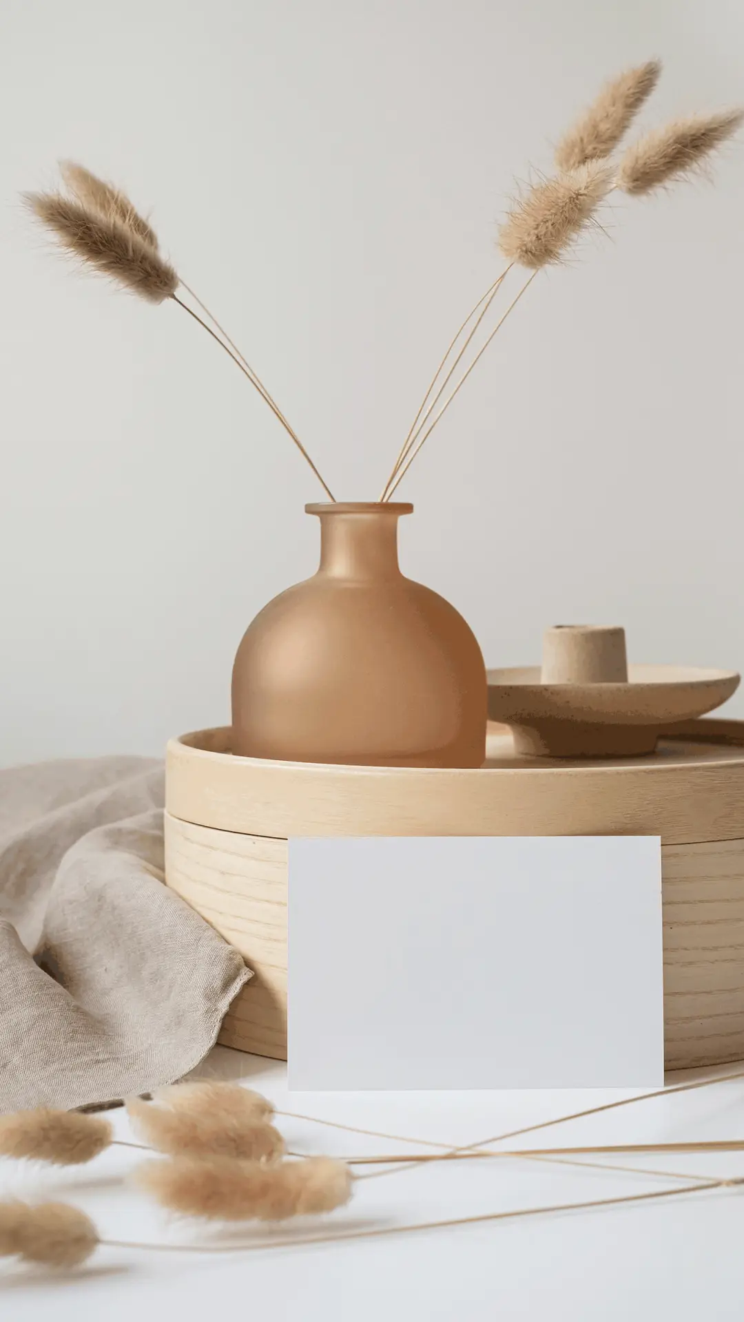 植物静物-拍信图库