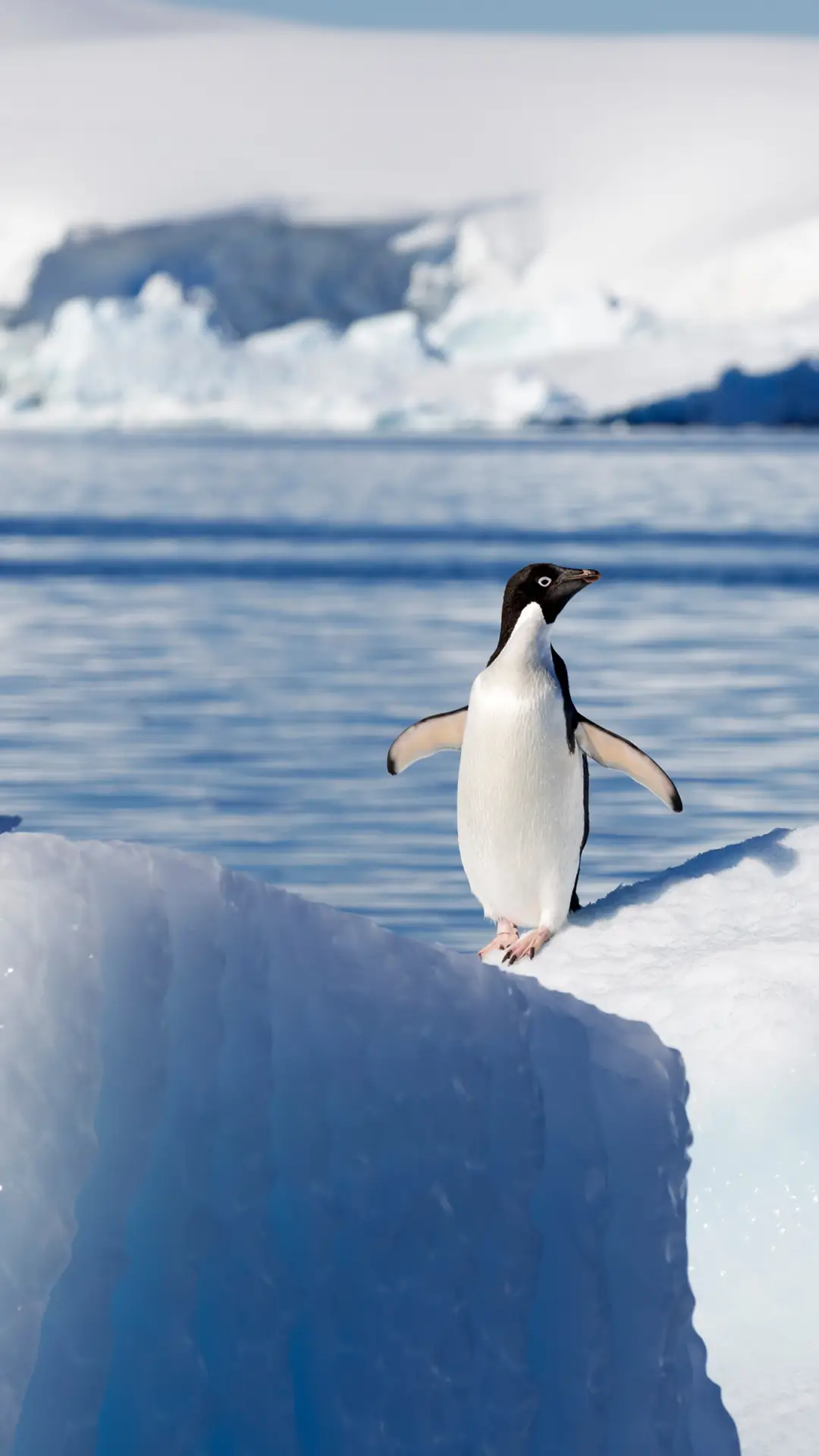 自然风光-拍信图库 - Screenshot 1