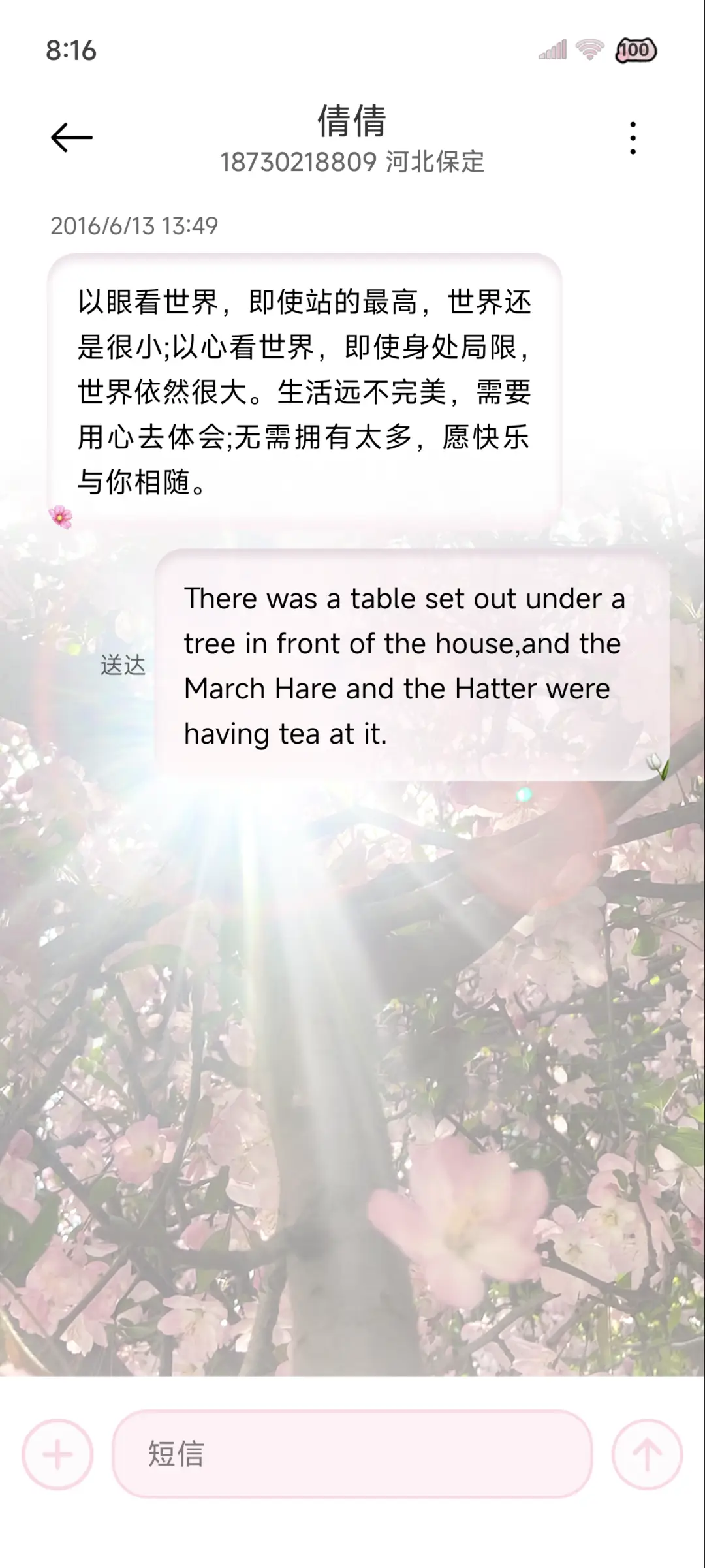 ins樱花春日来信 - Screenshot 8