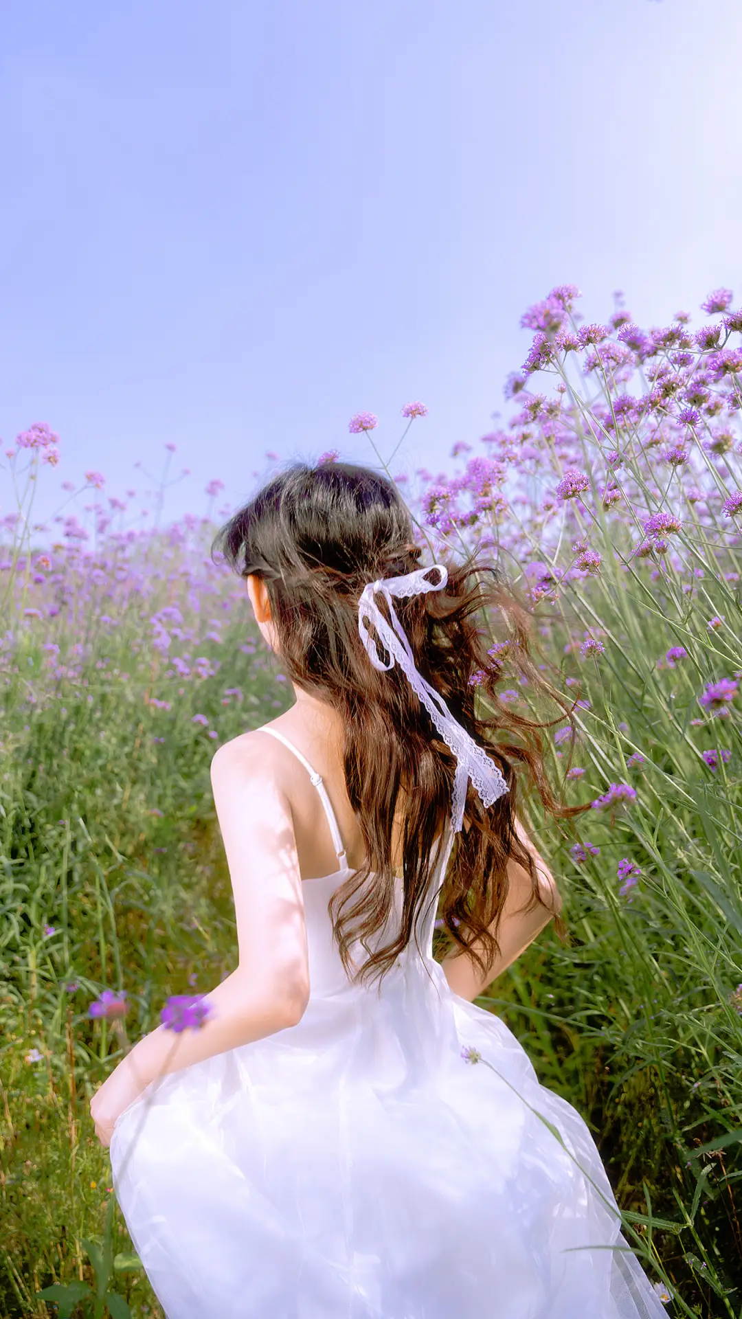 少女花花-锐景创意