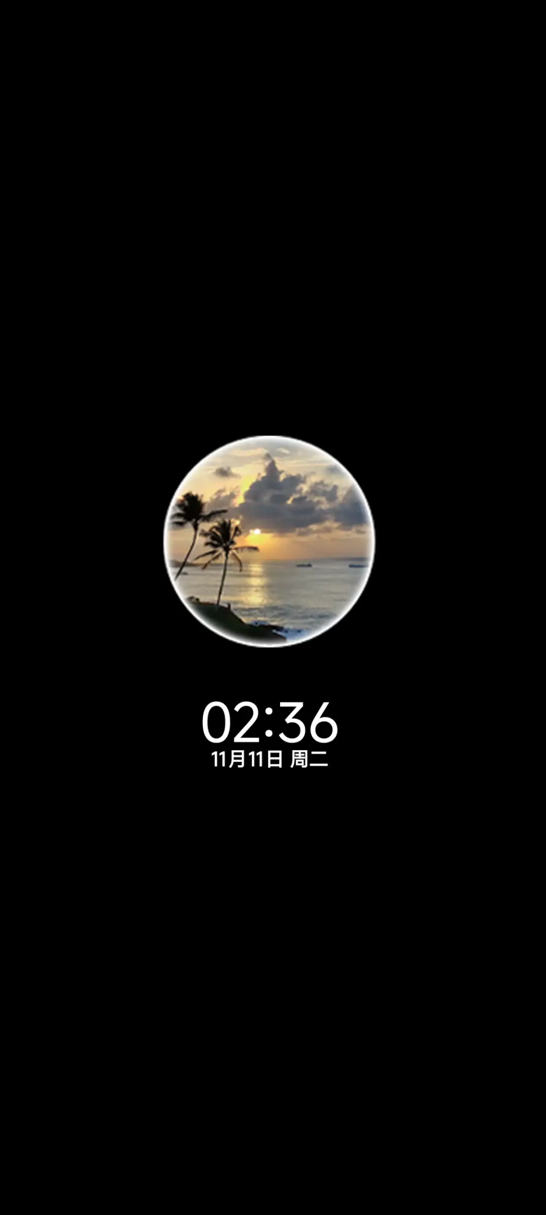 INS椰林海风 - Screenshot 1