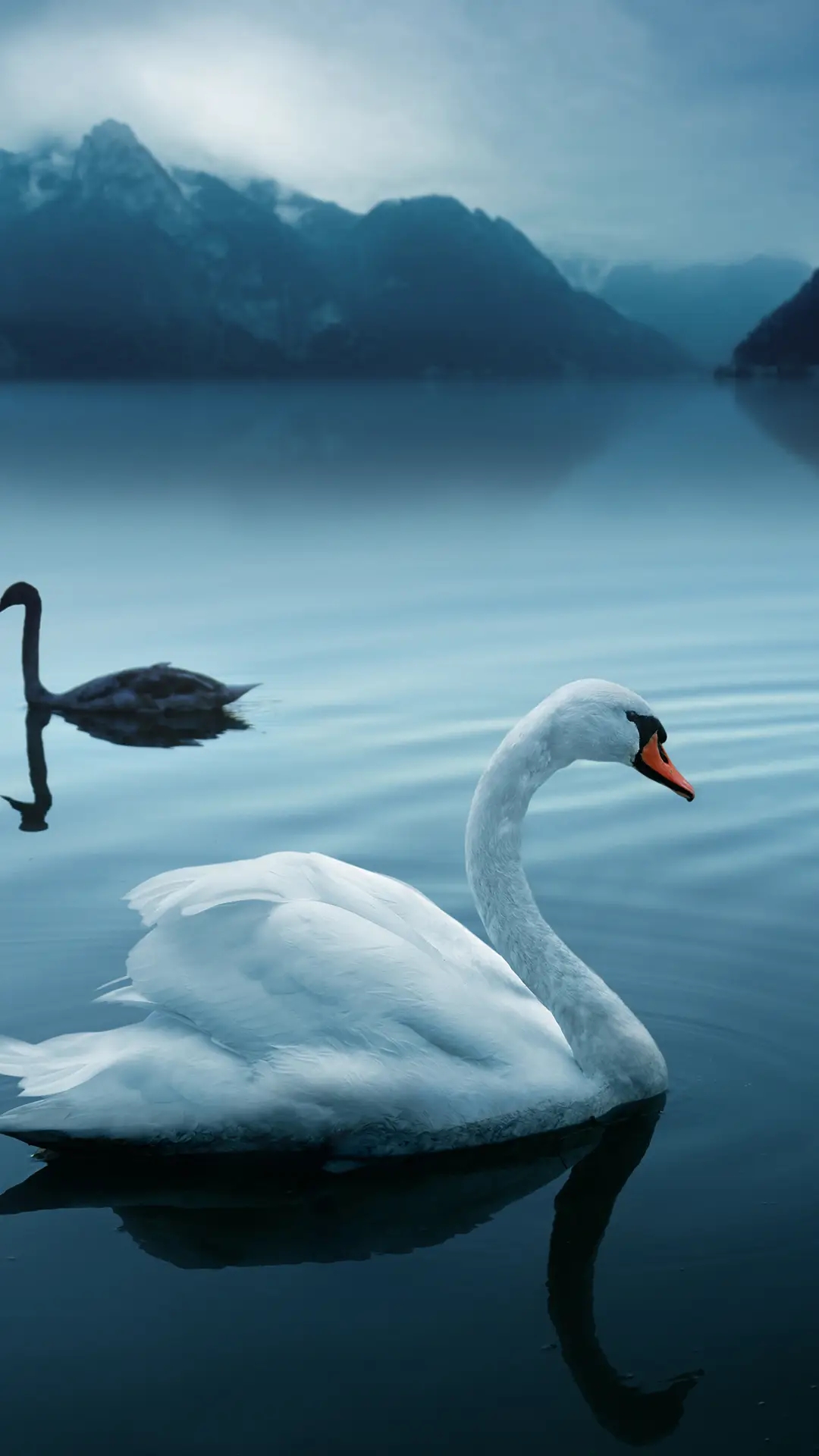 袭一身素白衣裳 - Screenshot 1