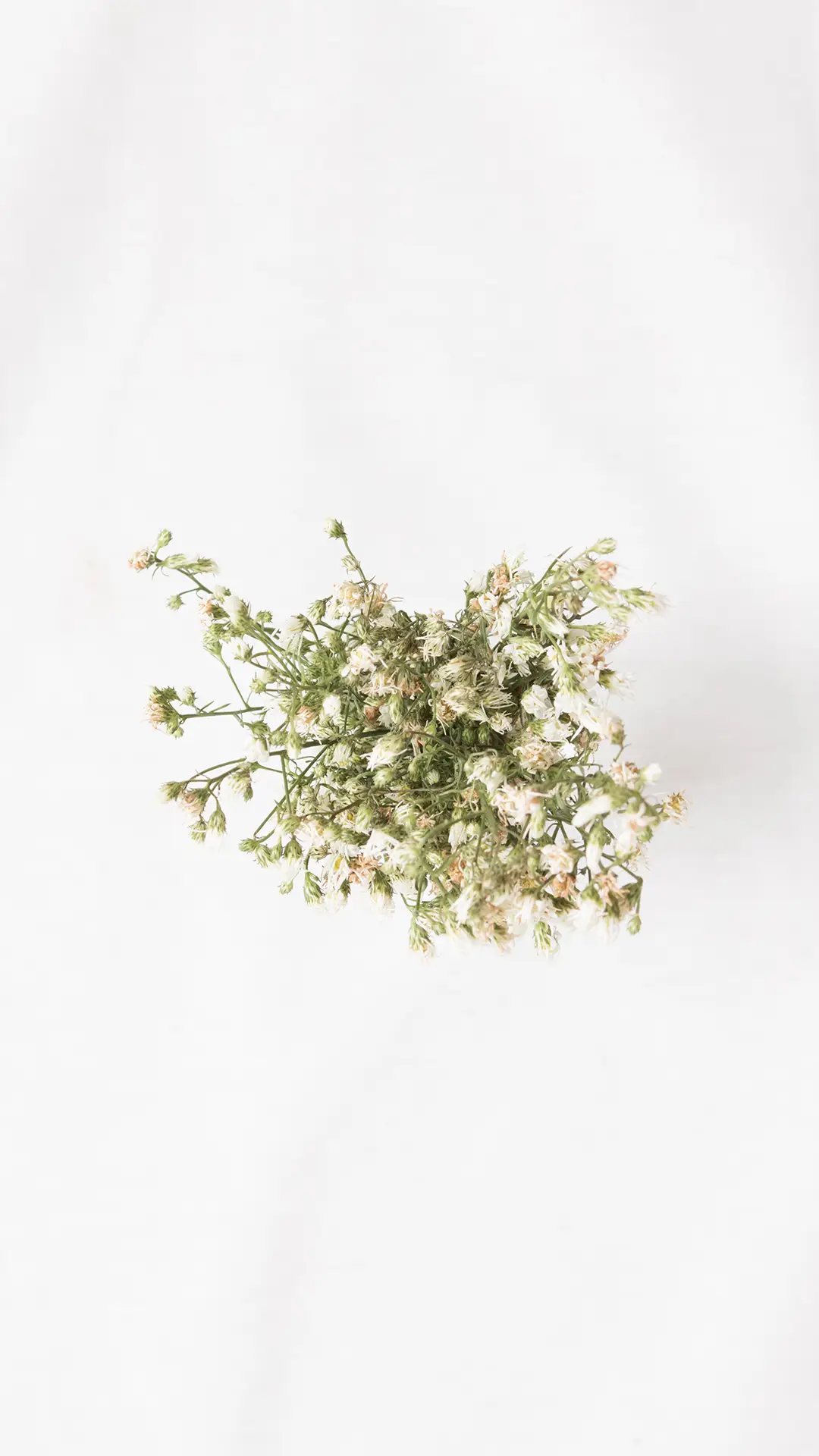 为何偏偏喜欢你 - Screenshot 1