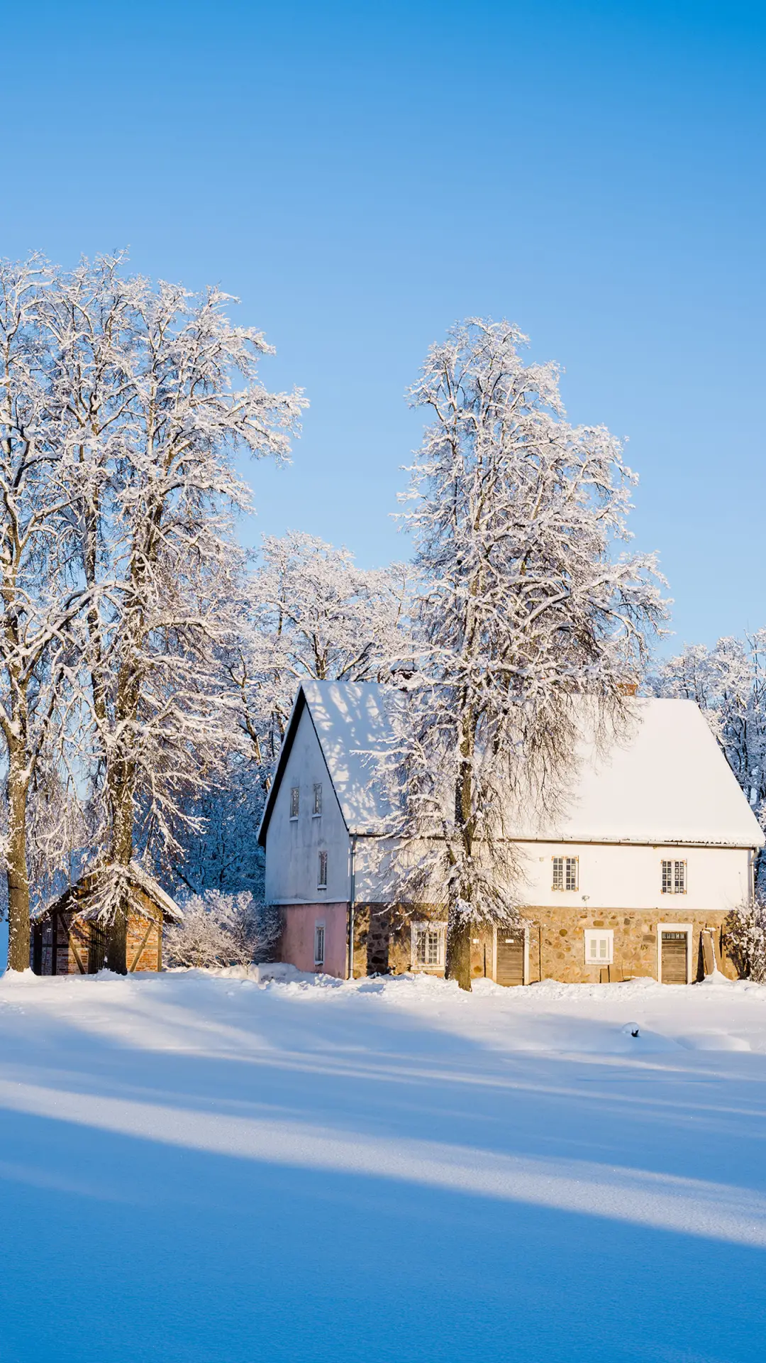 冬日壁纸-拍信图库