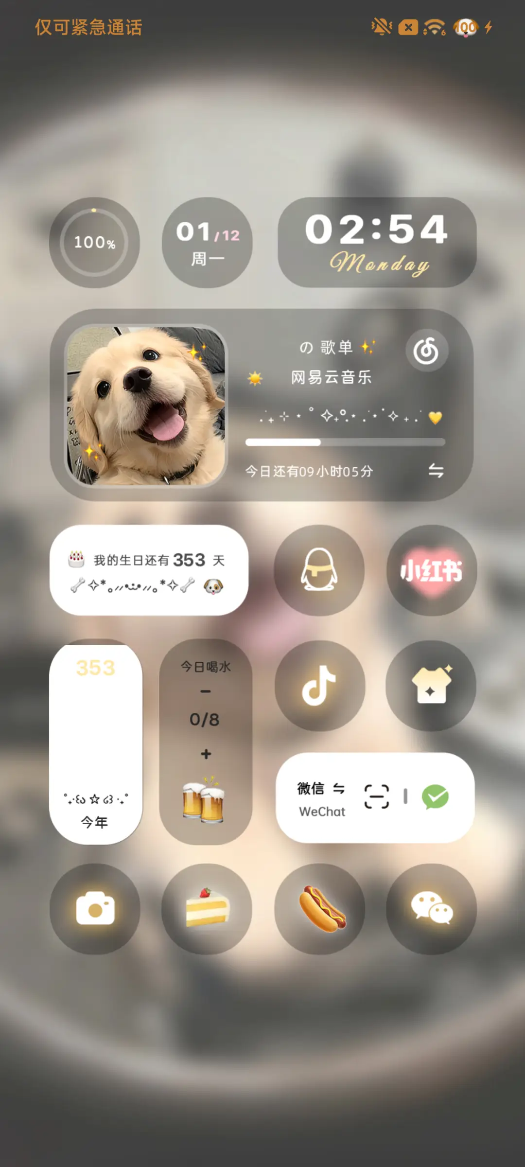 3D小金毛 自定义 - Screenshot 5