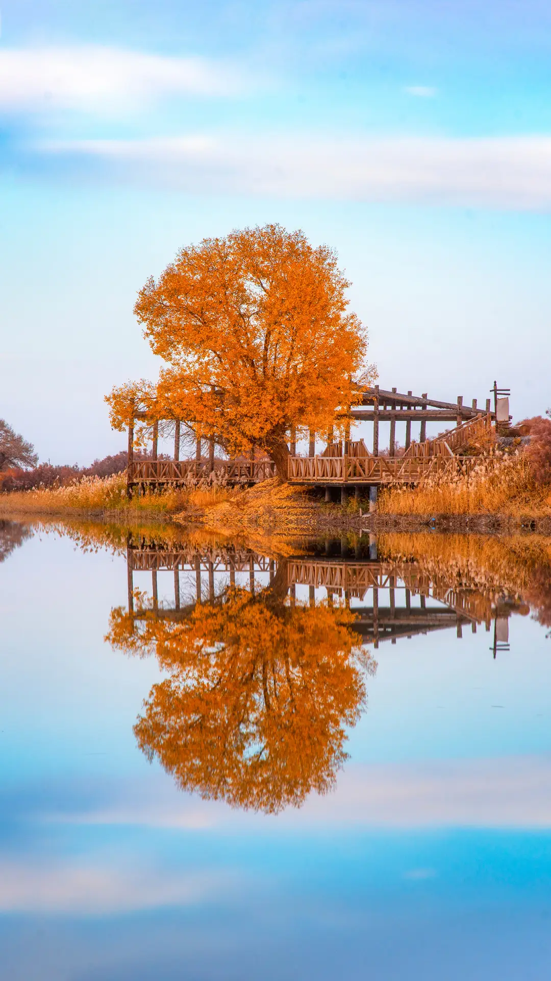 秋天你好-锐景创意 - Screenshot 1