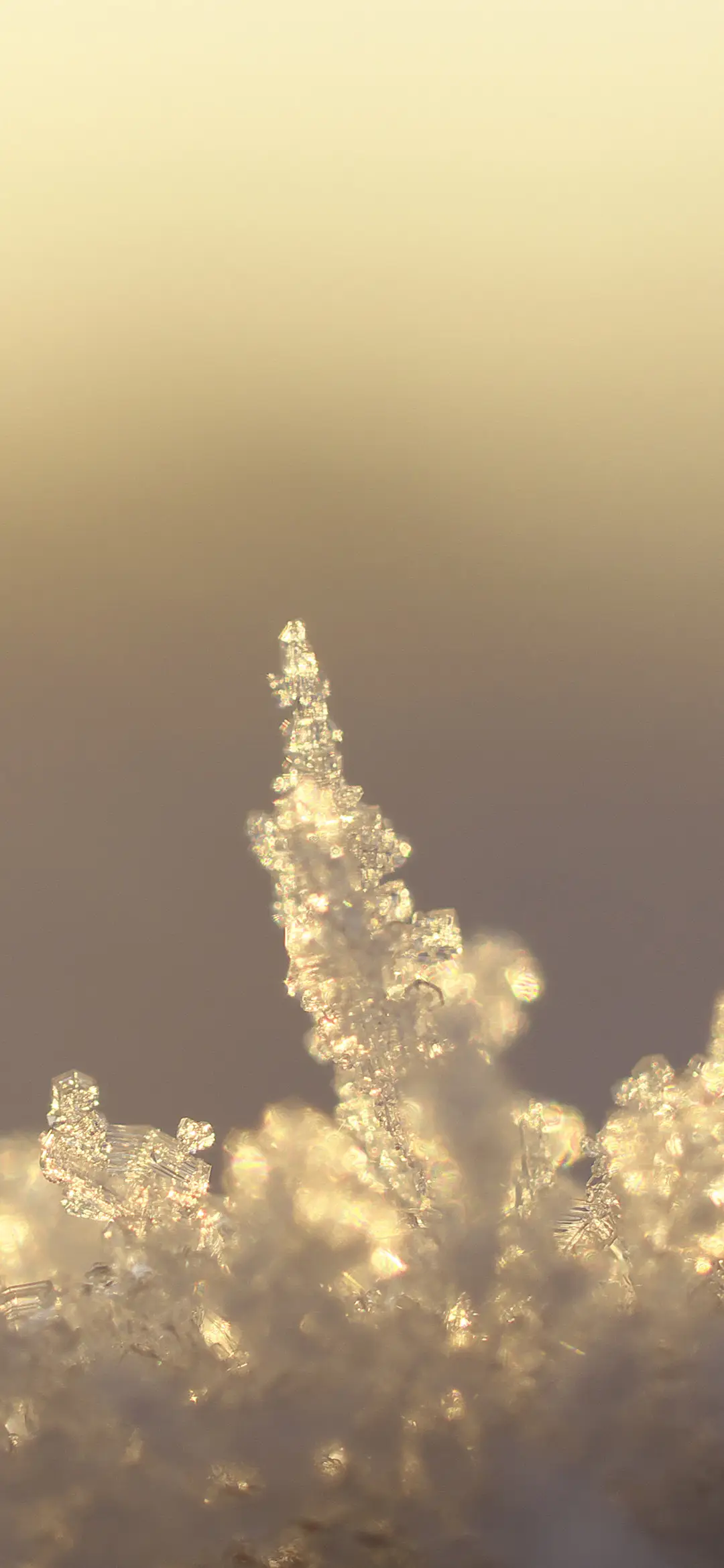 美丽霜花壁纸-锐景创意