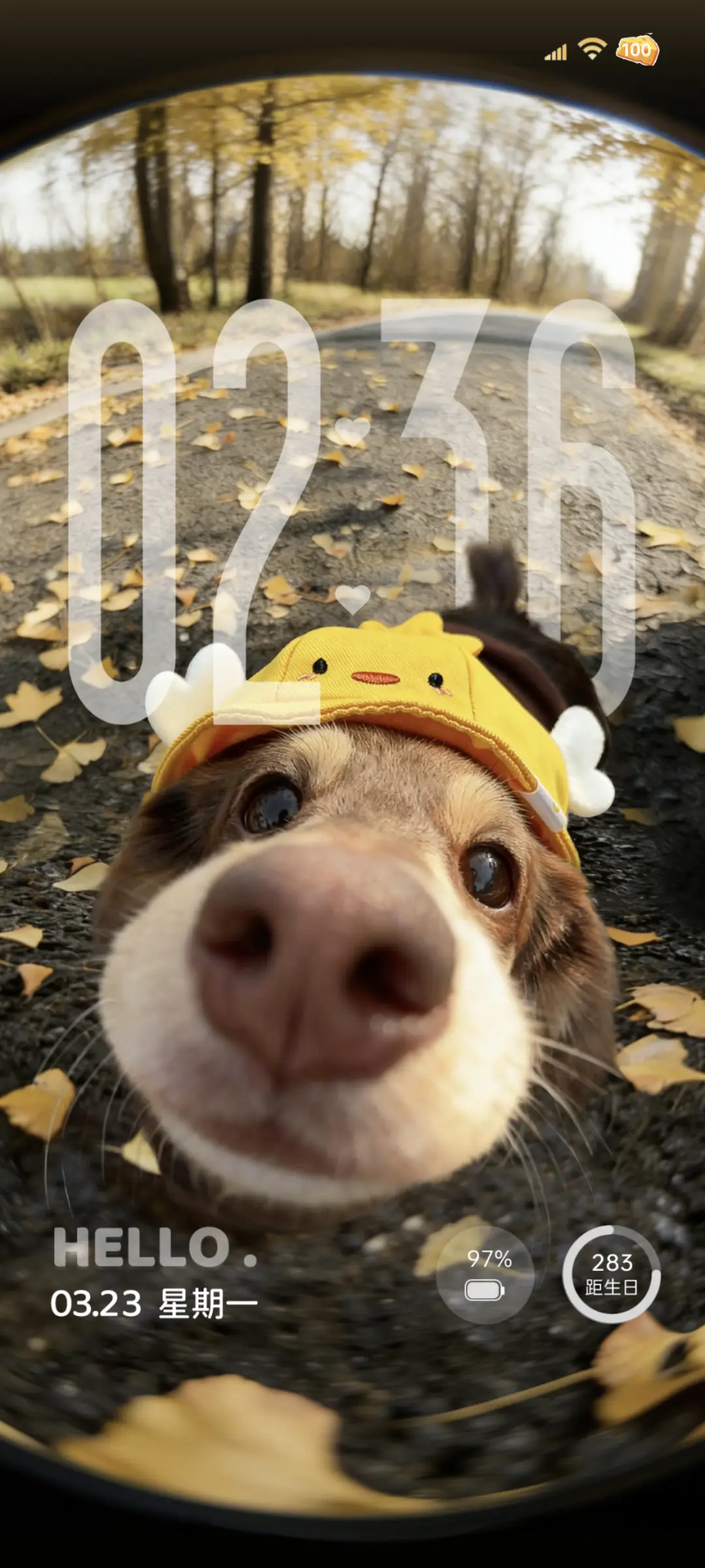 景深 Hello哈喽 THEME for Xiaomi MIUI HyperOS