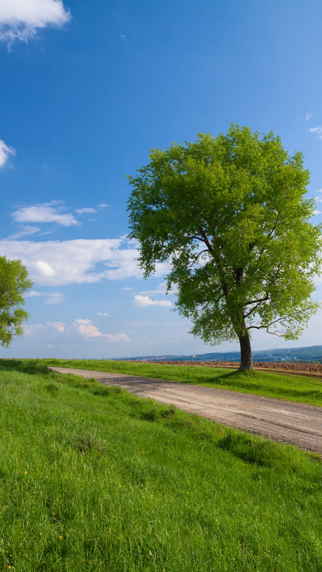 绿色草原-拍信图库