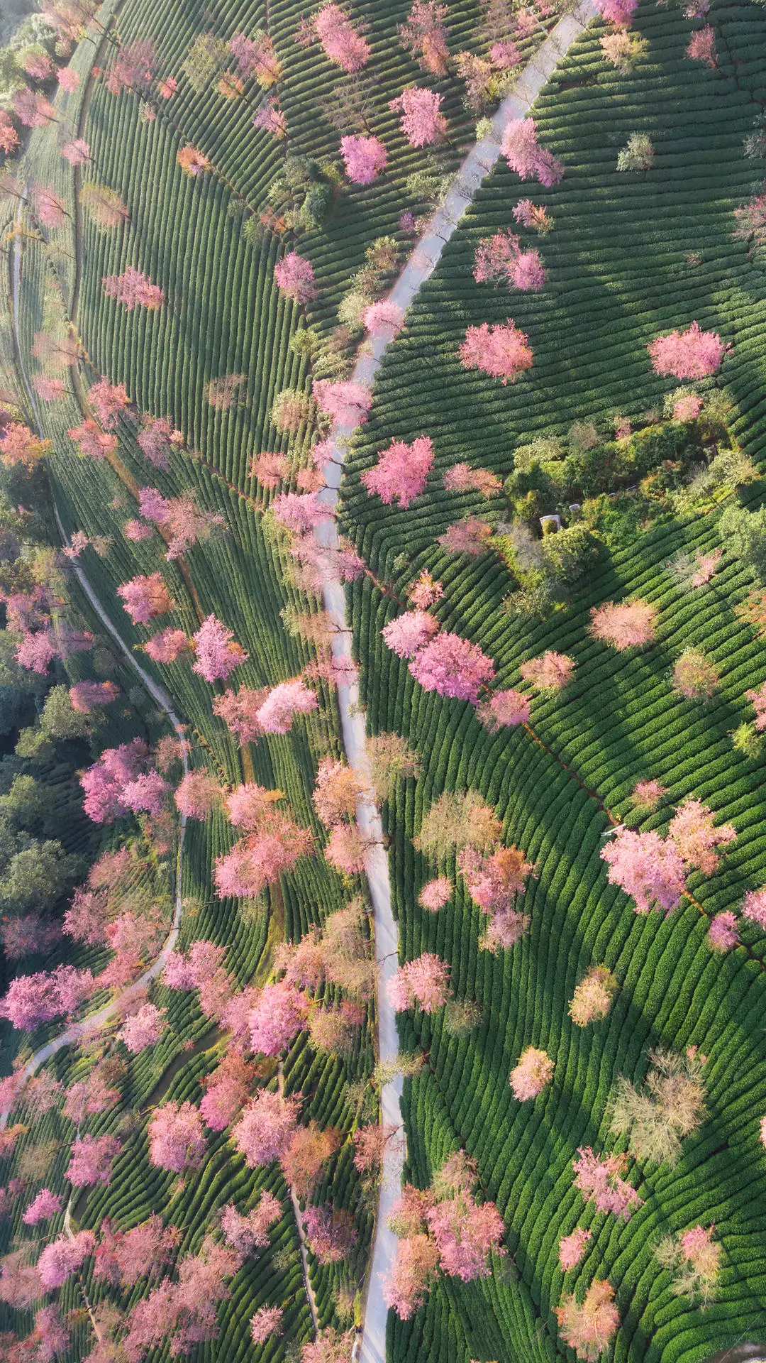 人间胜景彩云之南