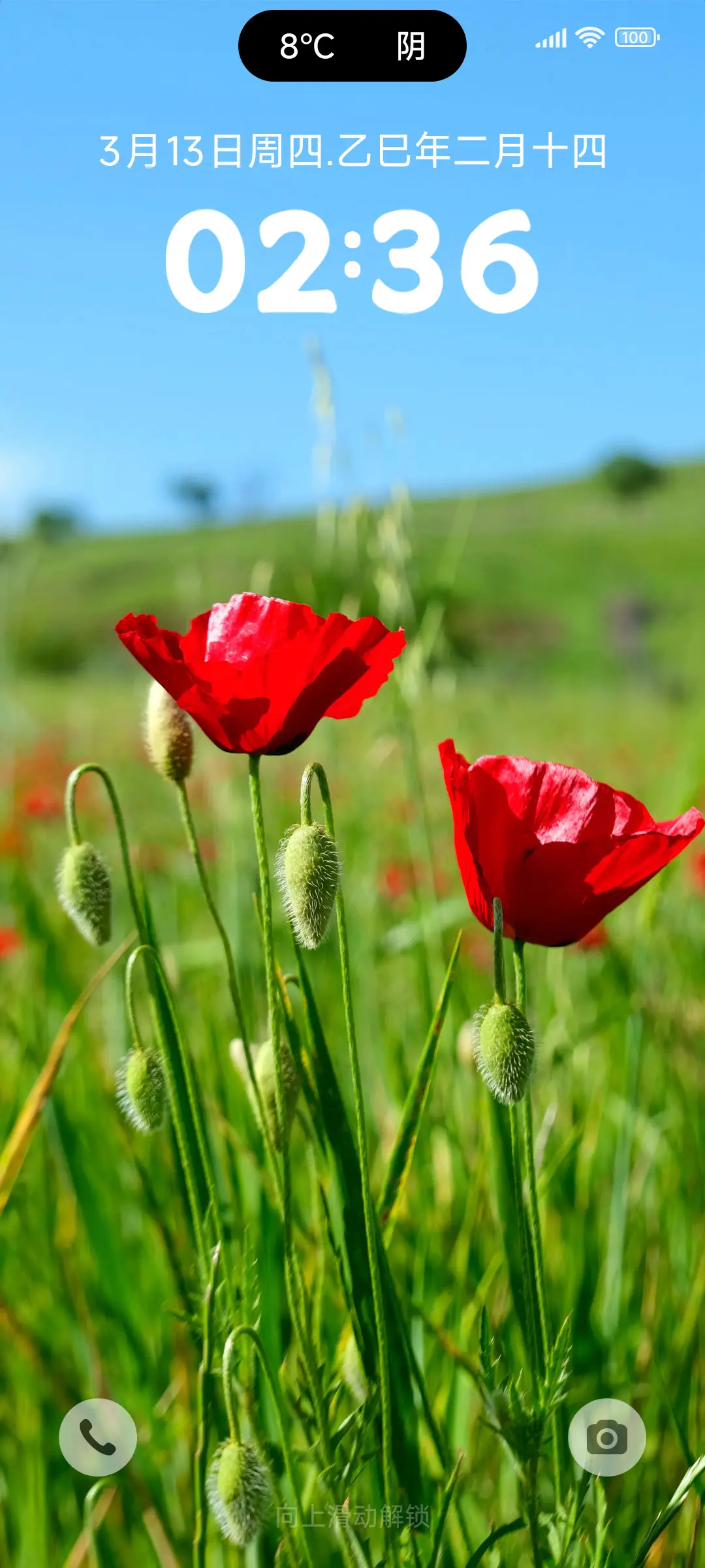 澎湃 和春天赴约