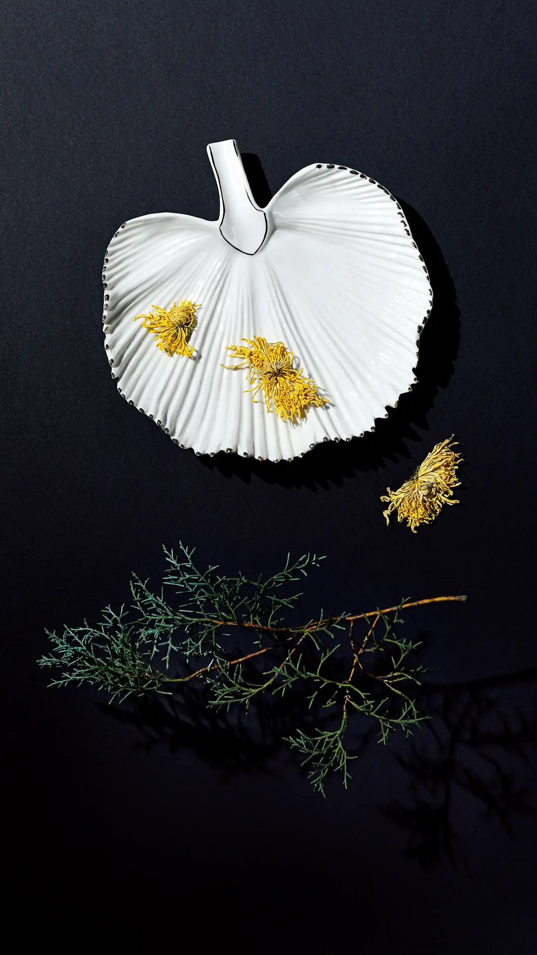 抗衰老膏方茶饮