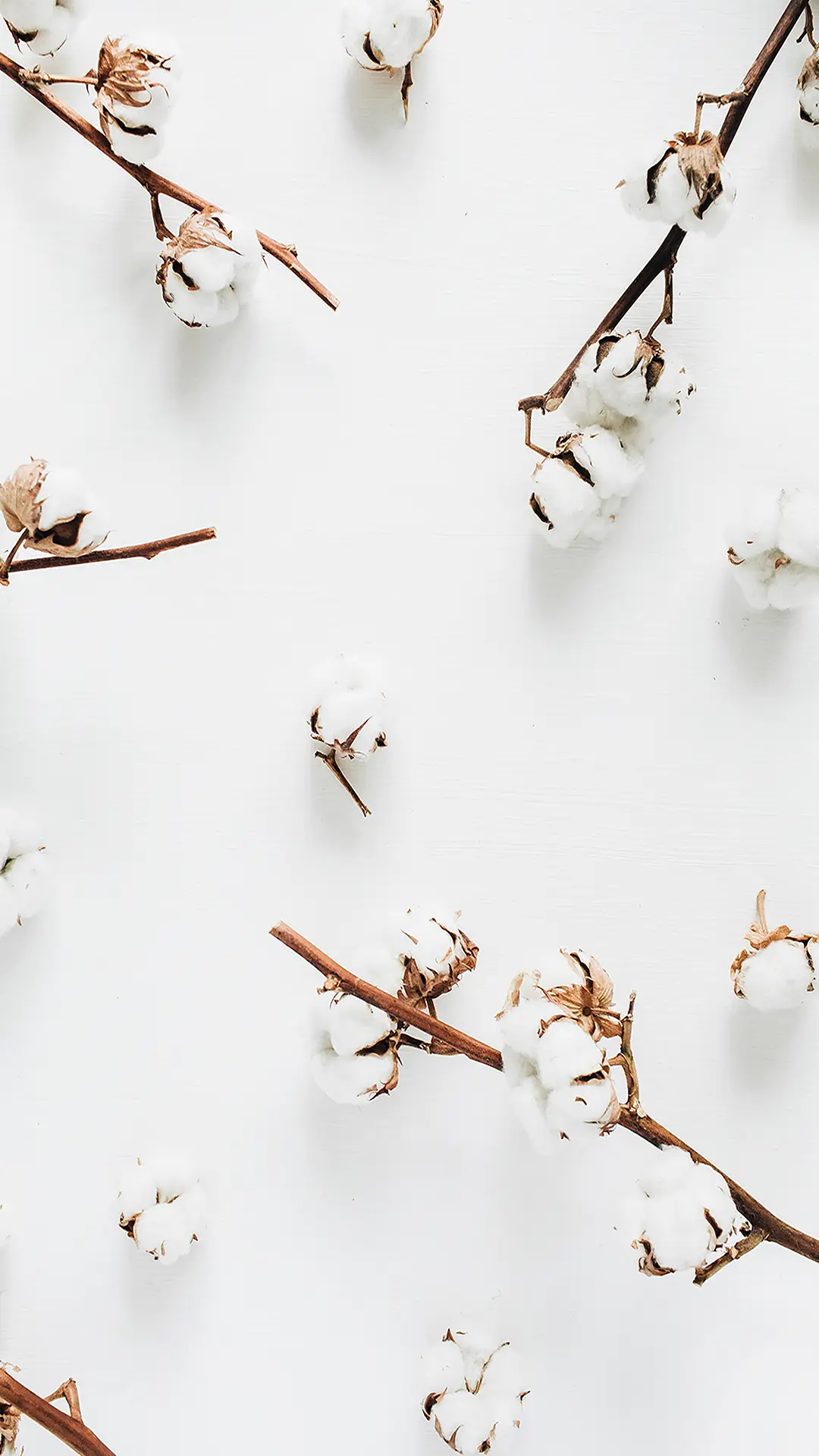 静谧白-拍信图库