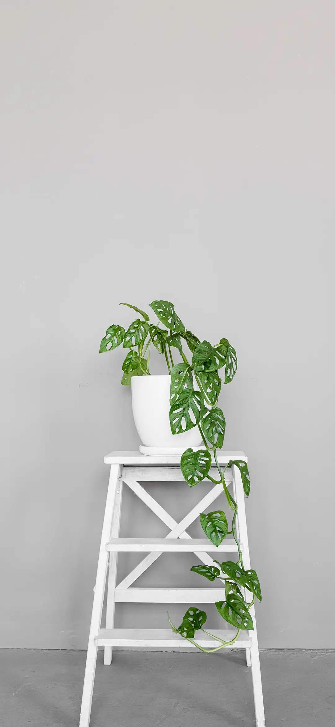 极简生活壁纸-锐景创意