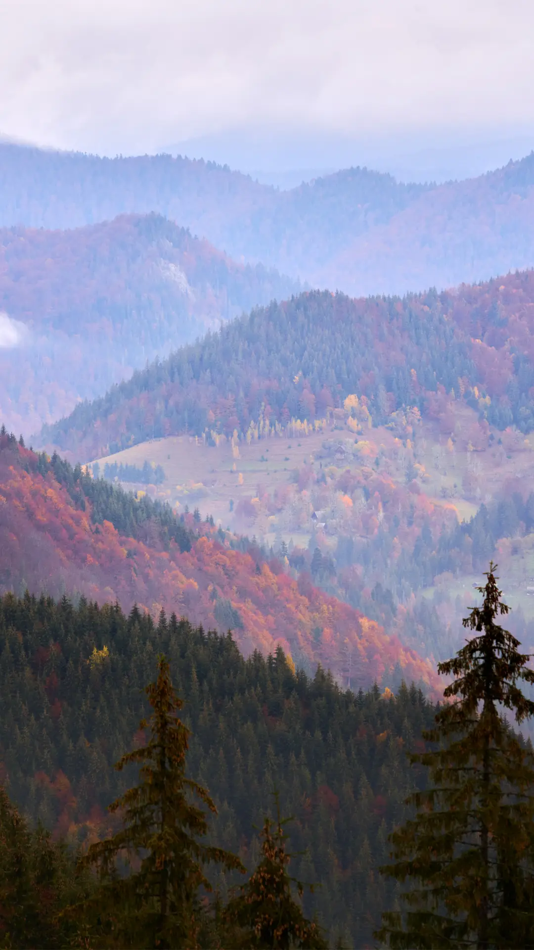 自然风光-拍信图库 - Screenshot 1