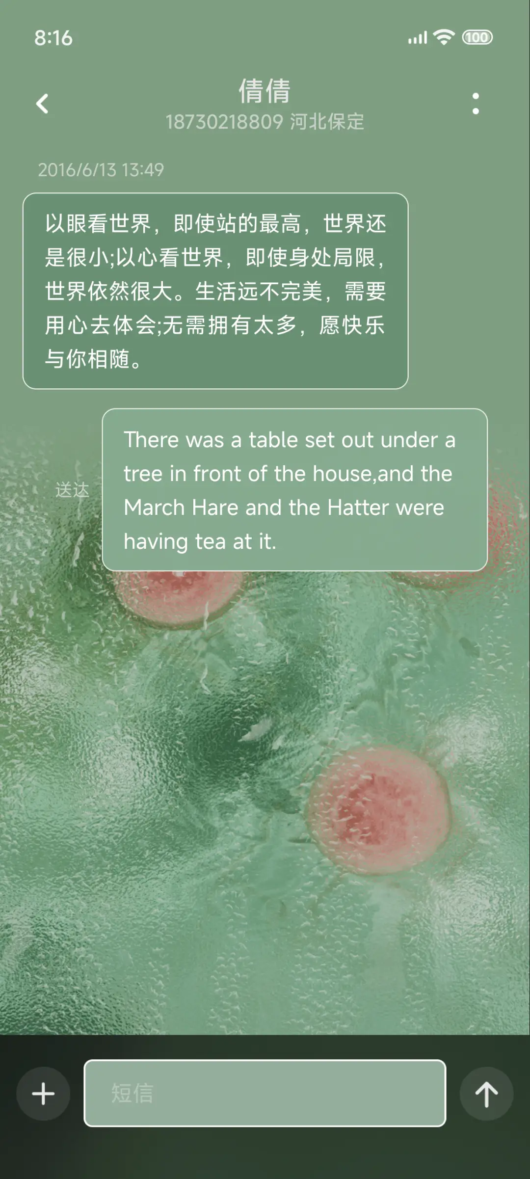 Pro 绿意清凉 - Screenshot 13