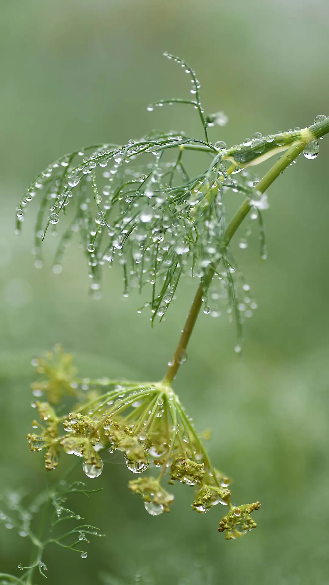 春暖花开-拍信图库