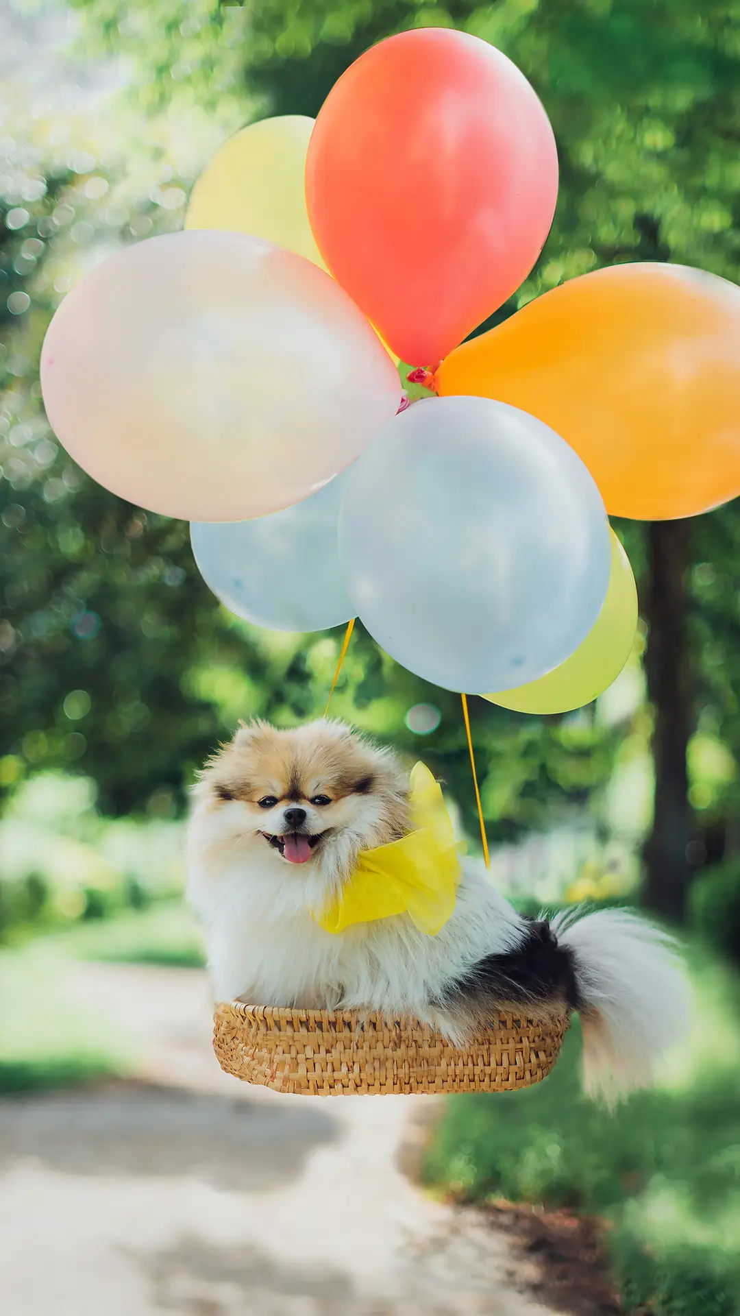 磨人的汪星人 - Screenshot 1