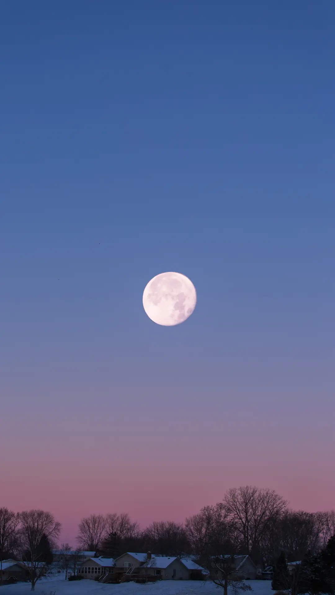 中秋月圆-拍信图库 - Screenshot 1