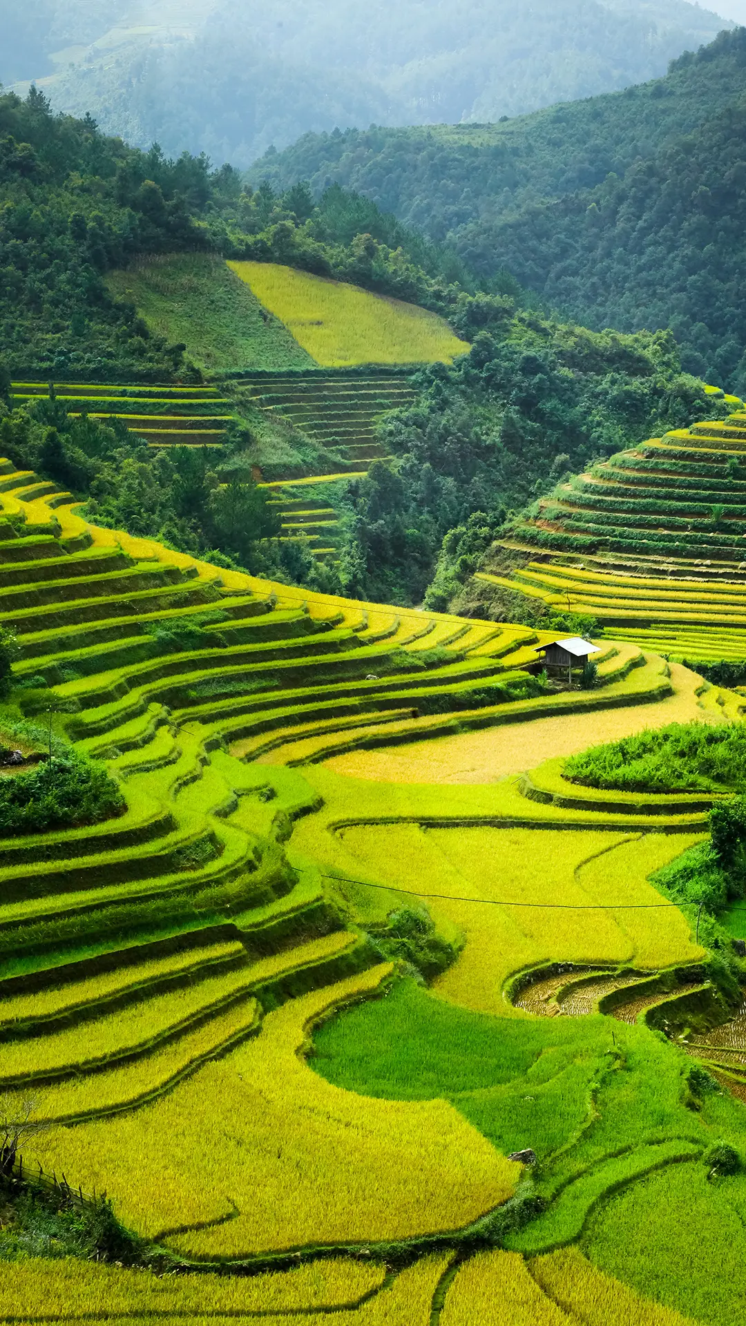 气势磅礴之梯田 - Screenshot 1