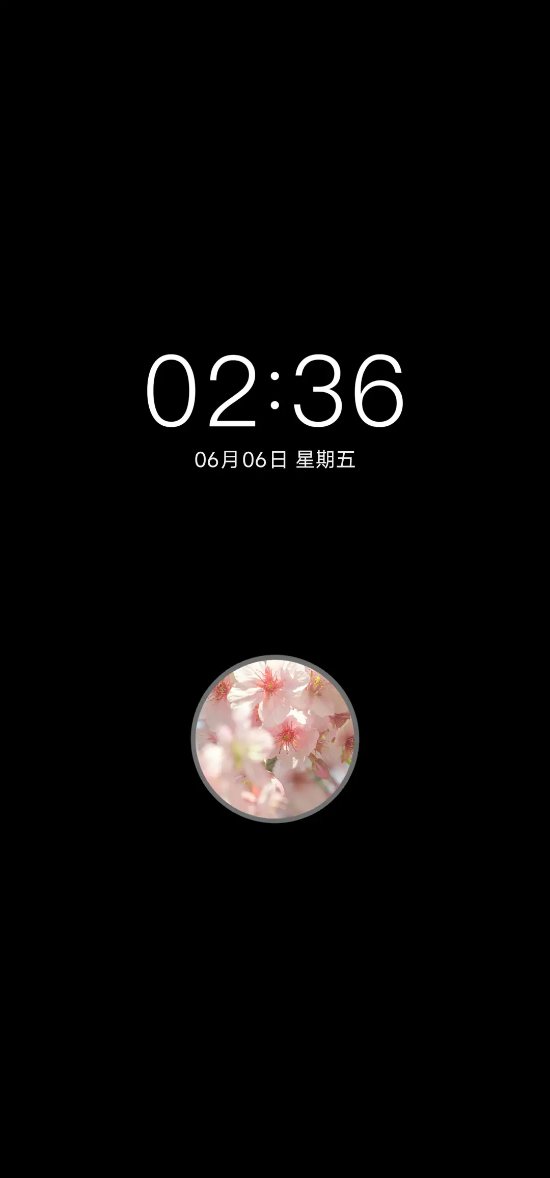 春樱 小组件 - Screenshot 1