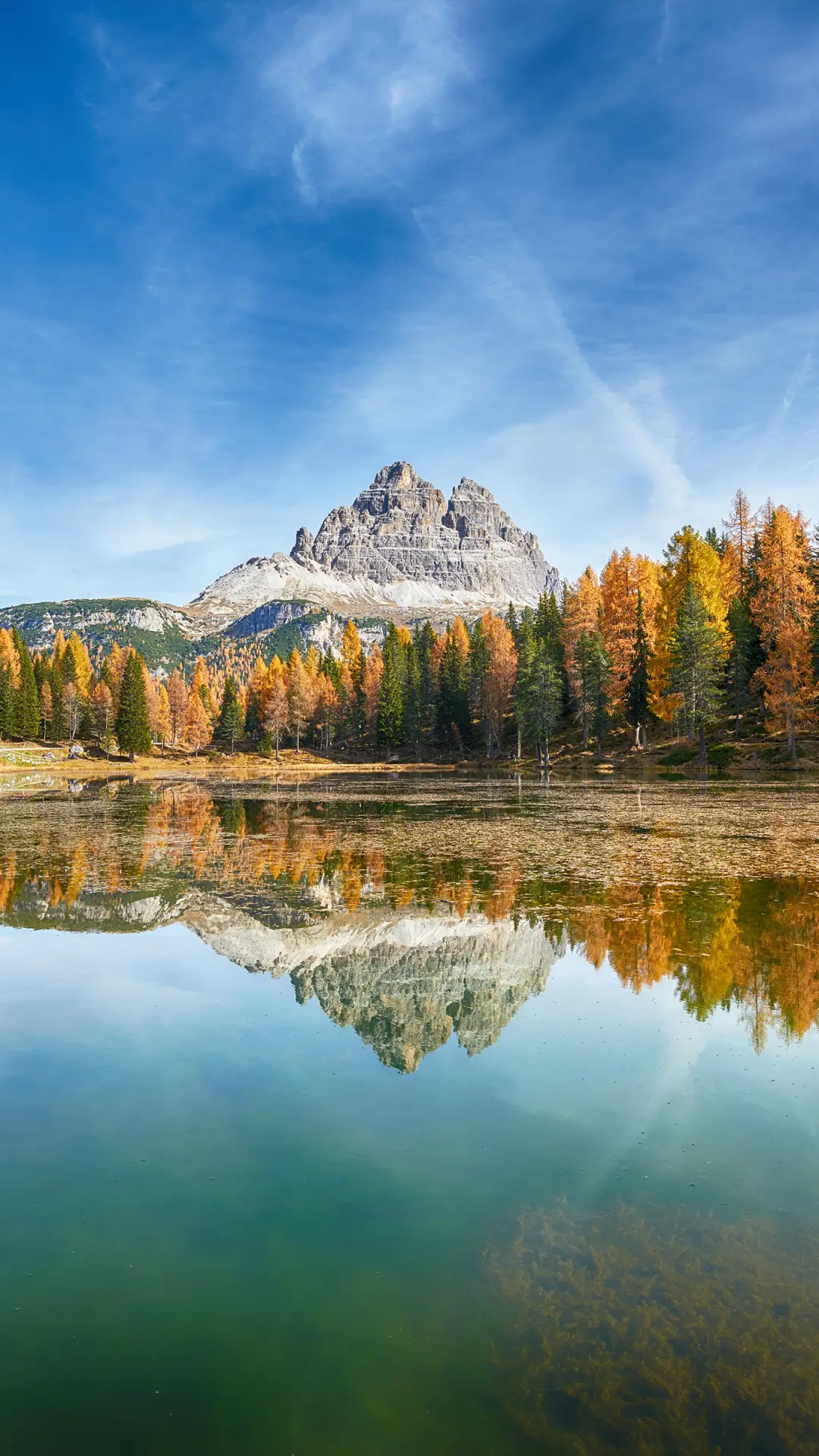 秋天的脚步-拍信图库