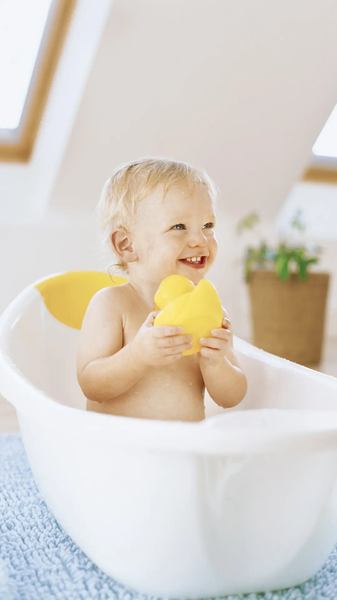 给你家的宝宝来个SPA如何？