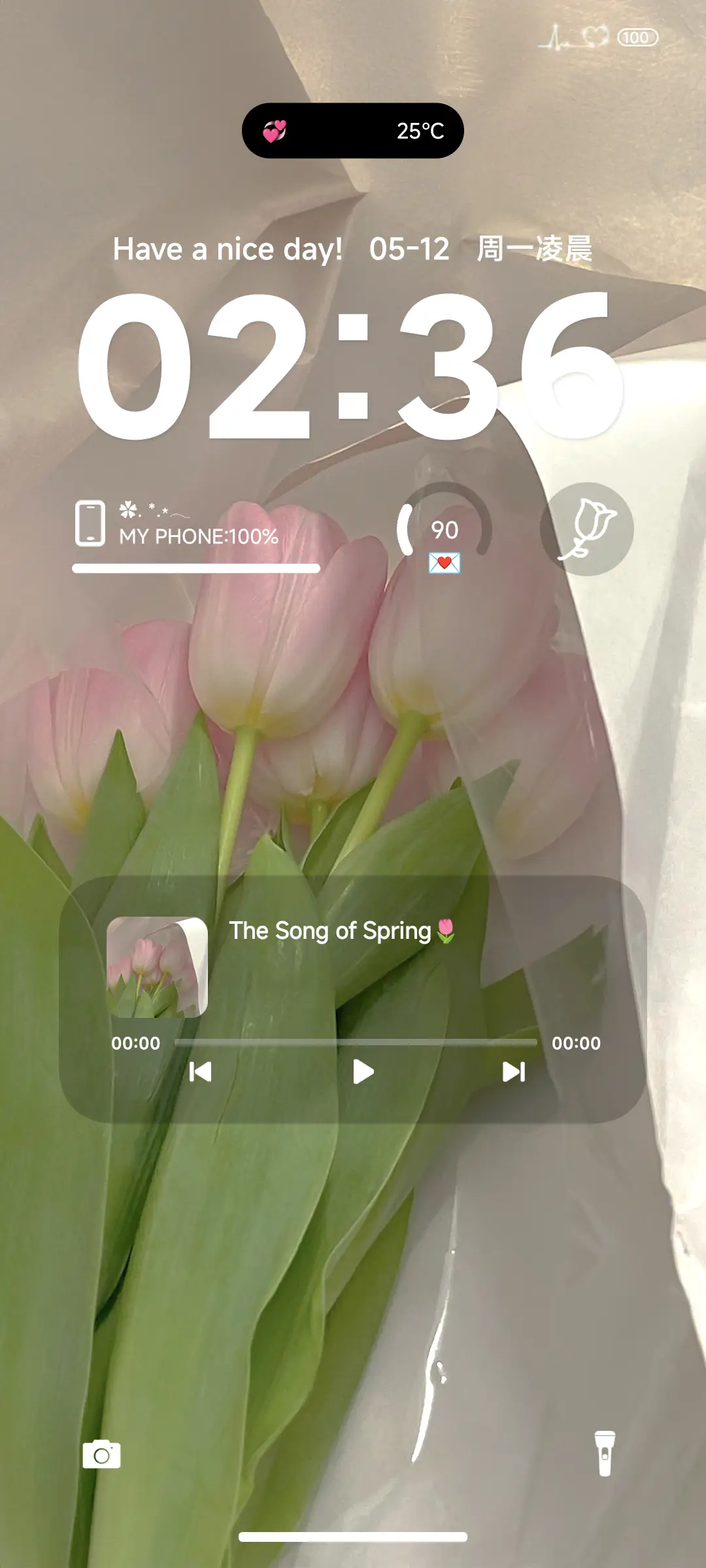 粉色透明郁金香