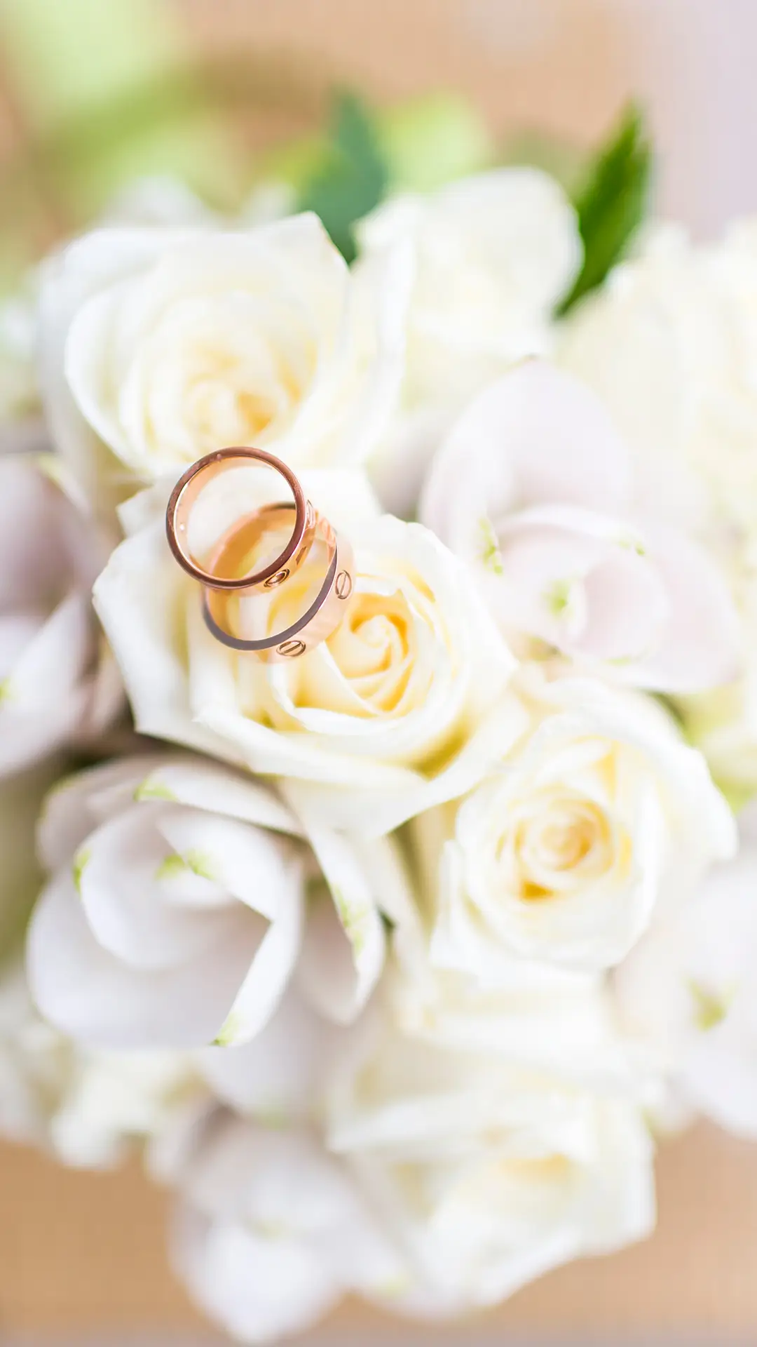 婚戒-锐景创意 - Screenshot 1