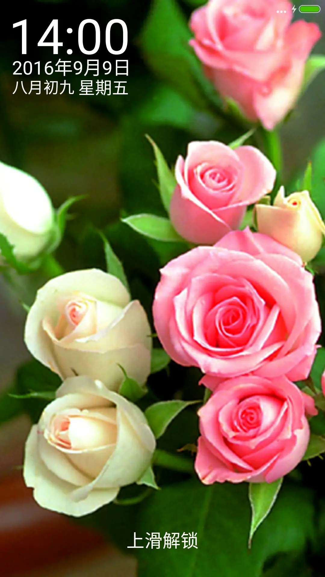 带刺的玫瑰（喜欢就给好评）