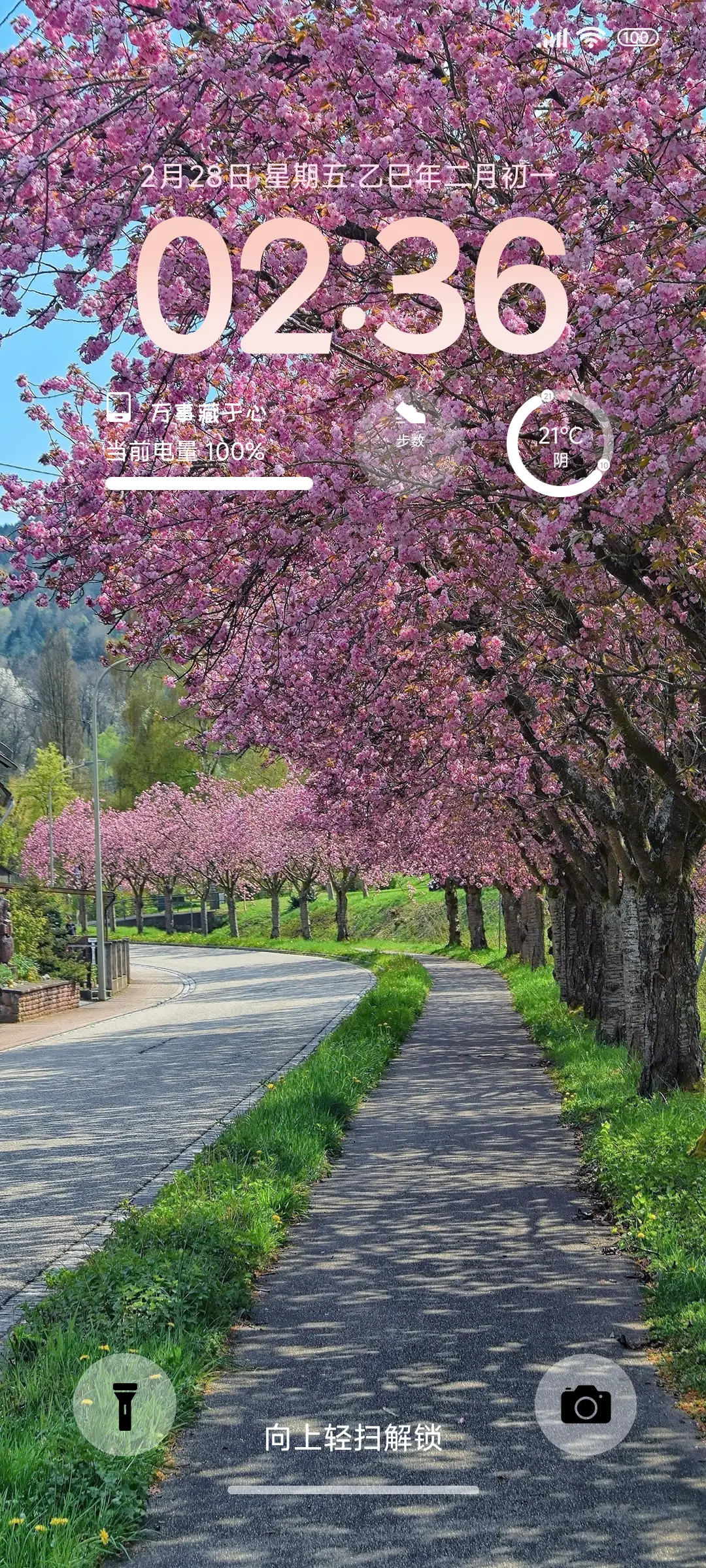 我在等风 也等你