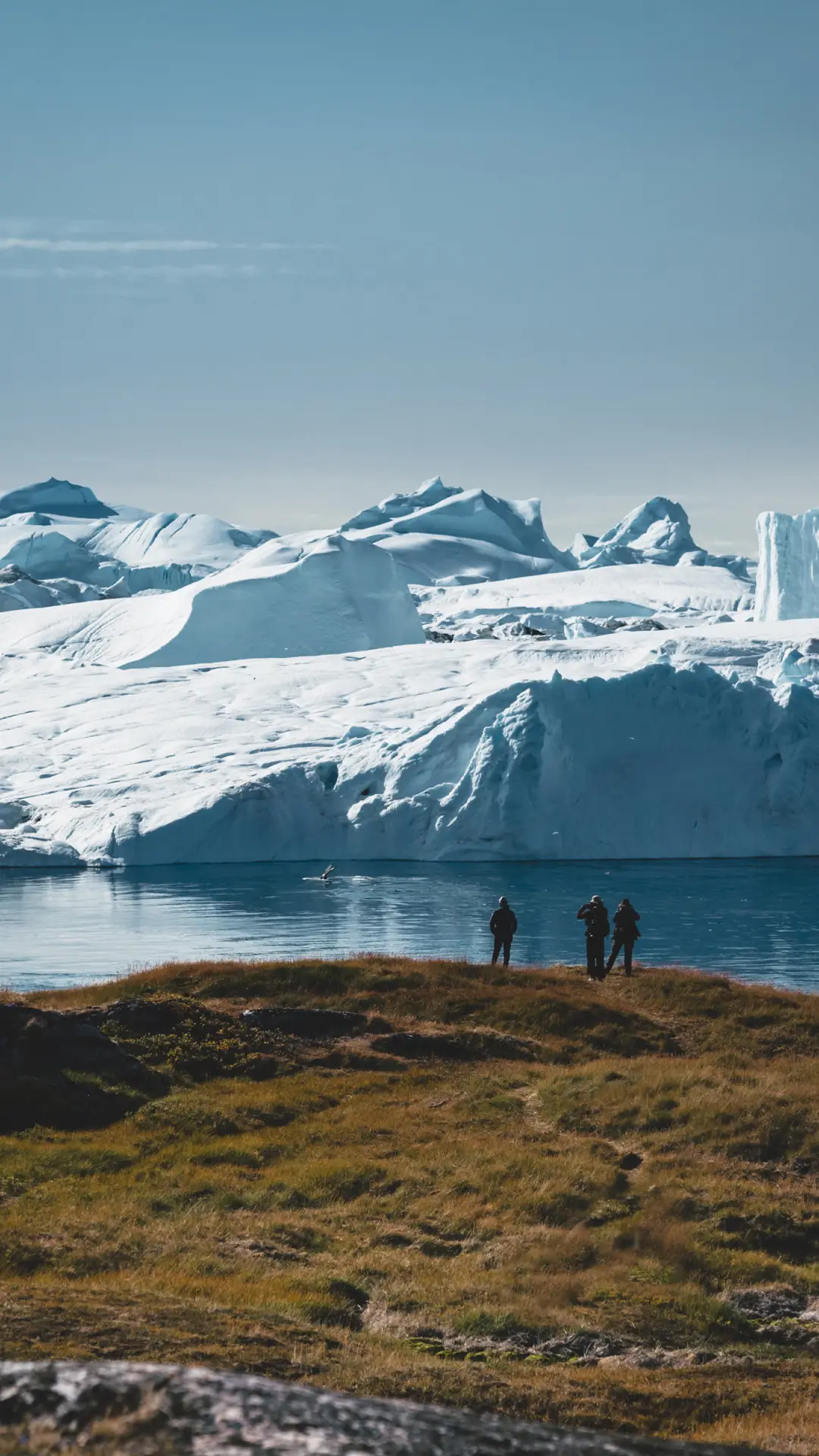 美丽的蓝色-拍信图库 - Screenshot 1