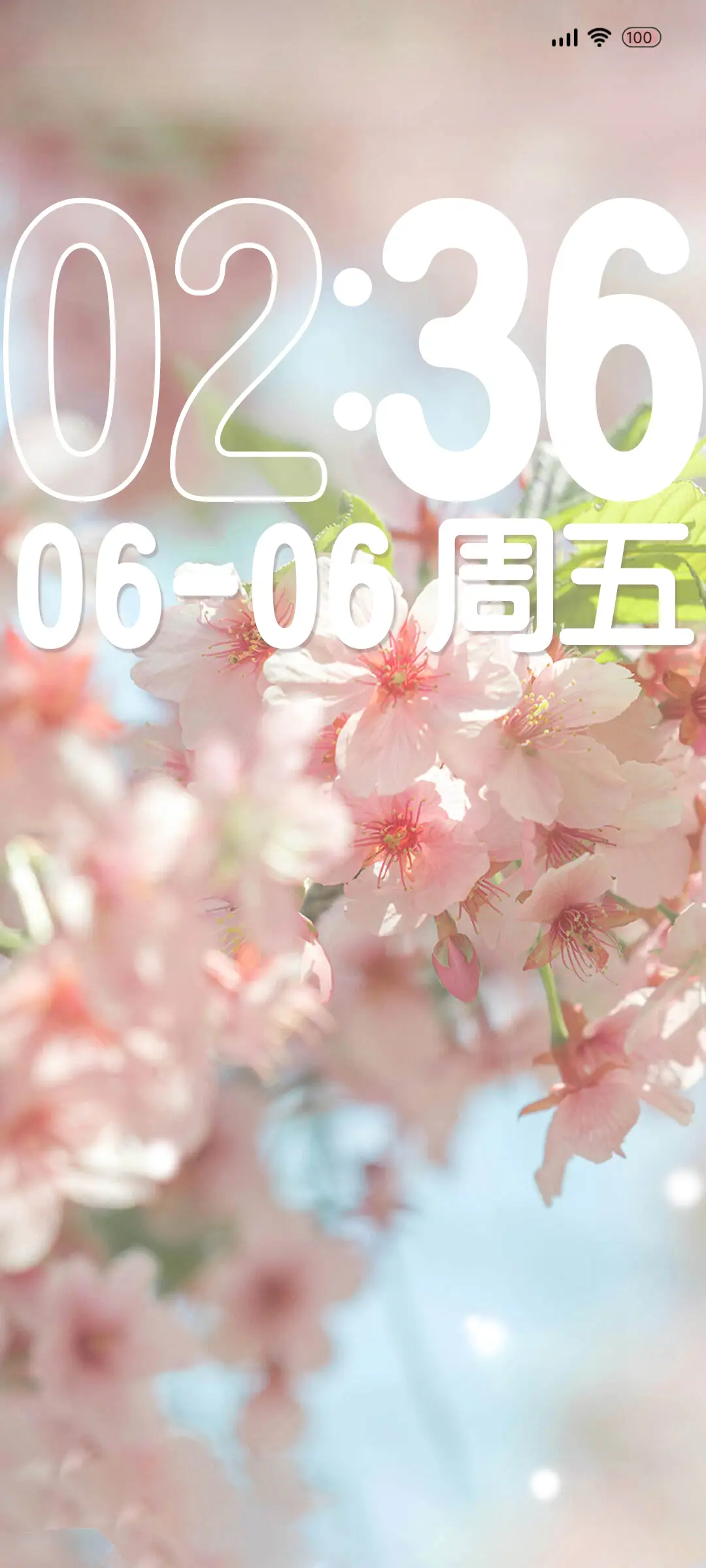 春樱 小组件 - Screenshot 2