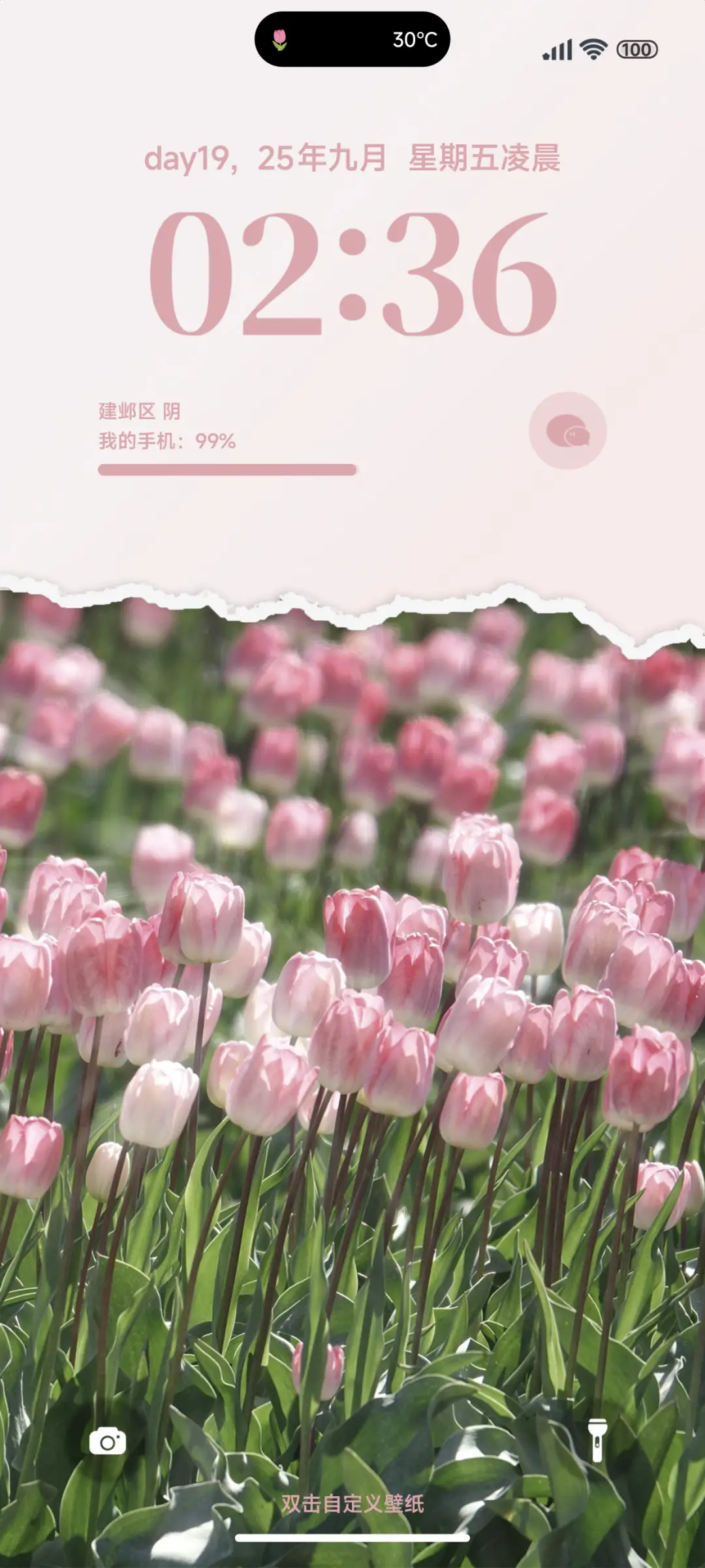 清新粉色郁金香 - Screenshot 1